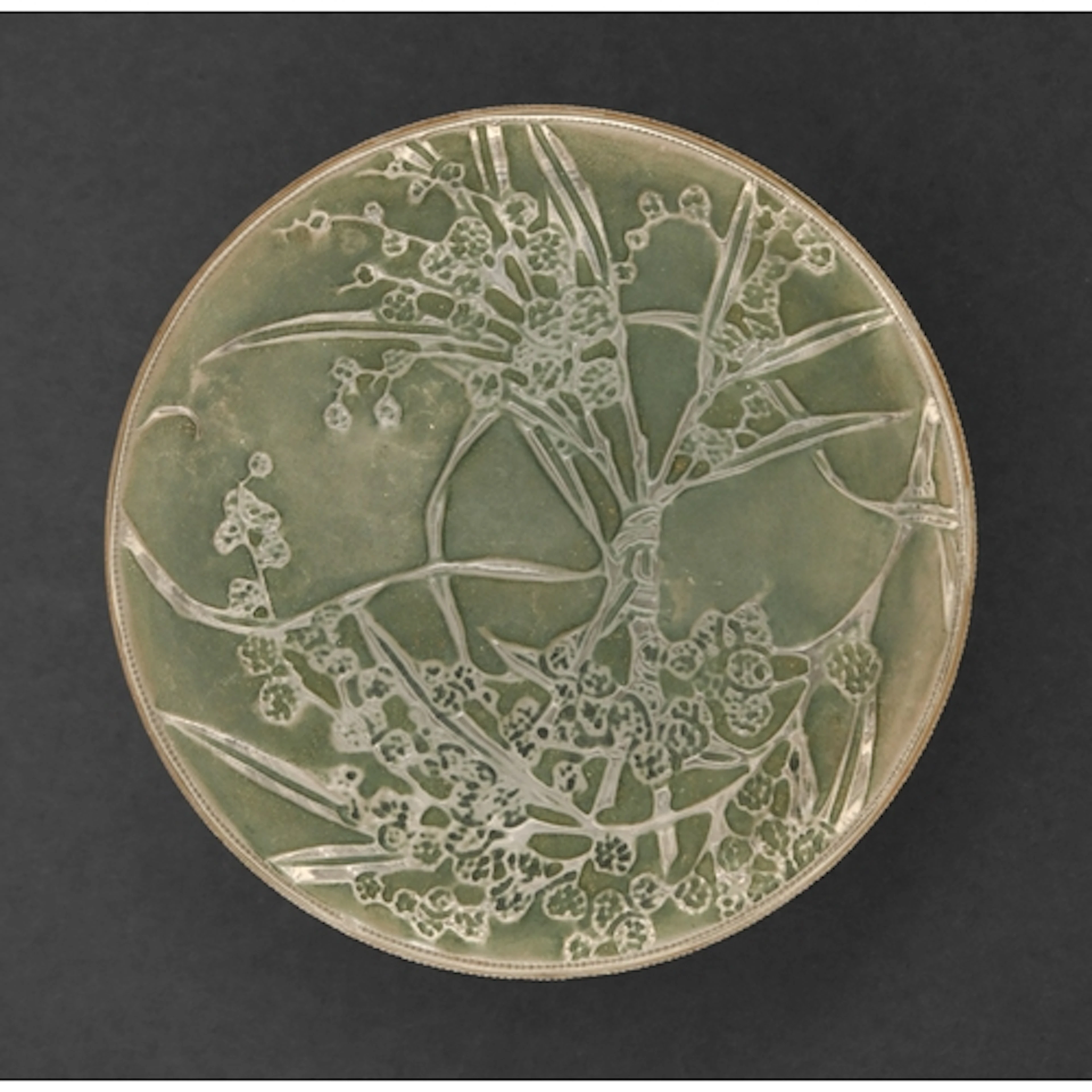"Un Jardin La Nuit". A Lalique green stained glass powder bo...