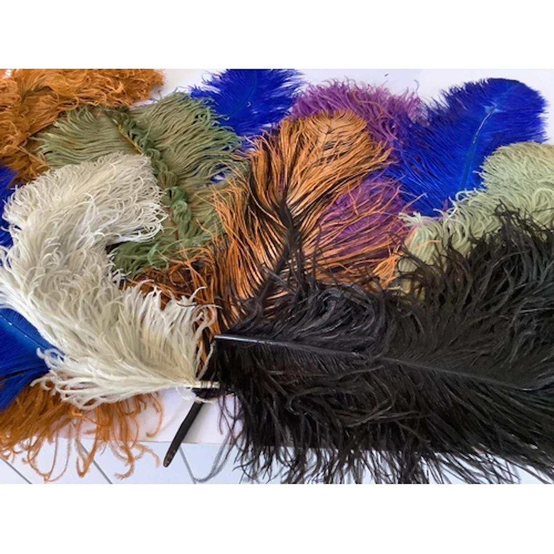 Nine large coloured Ostrich feathers and a collection of bla...
