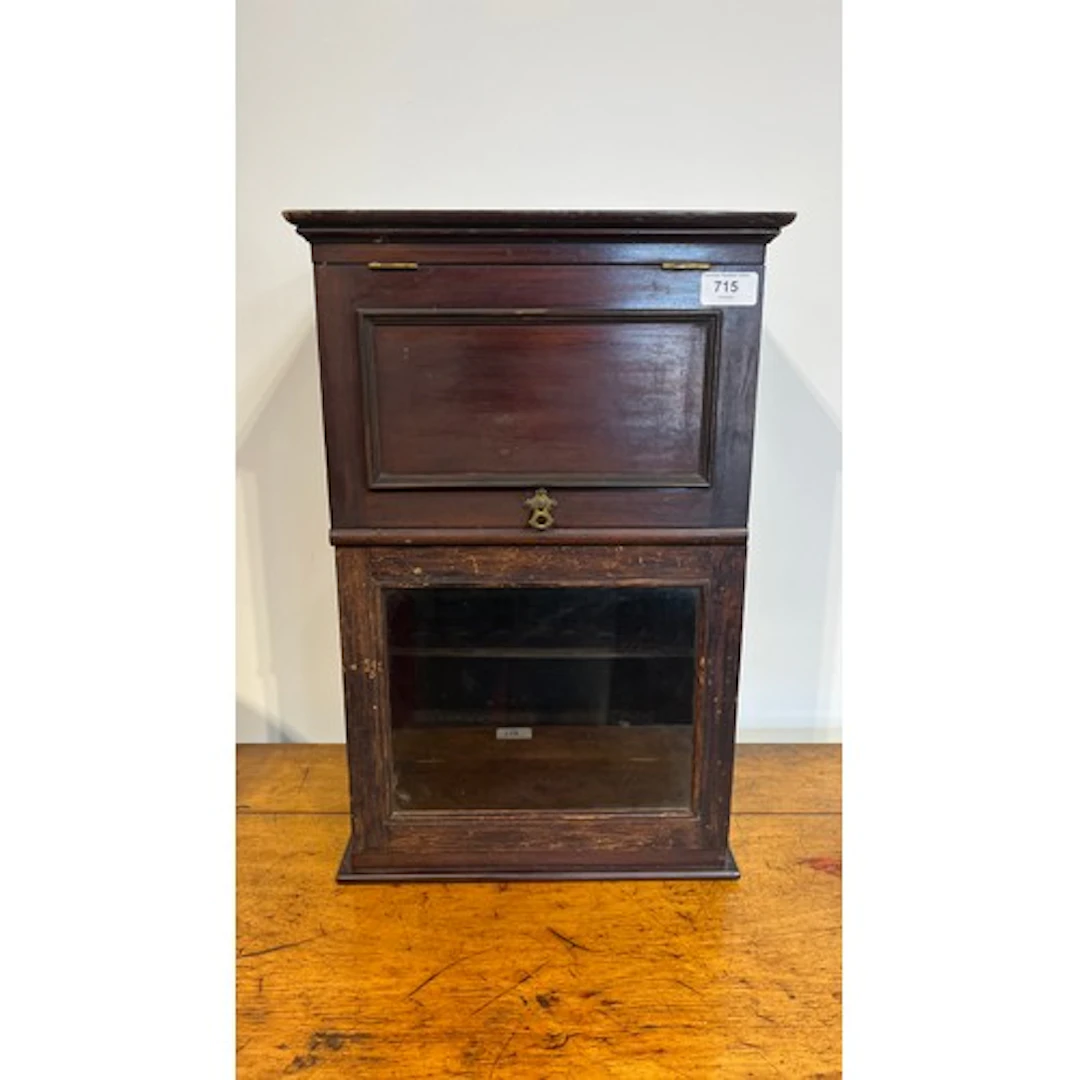 Mahogany medical cabinet with projected moulded cornice over...