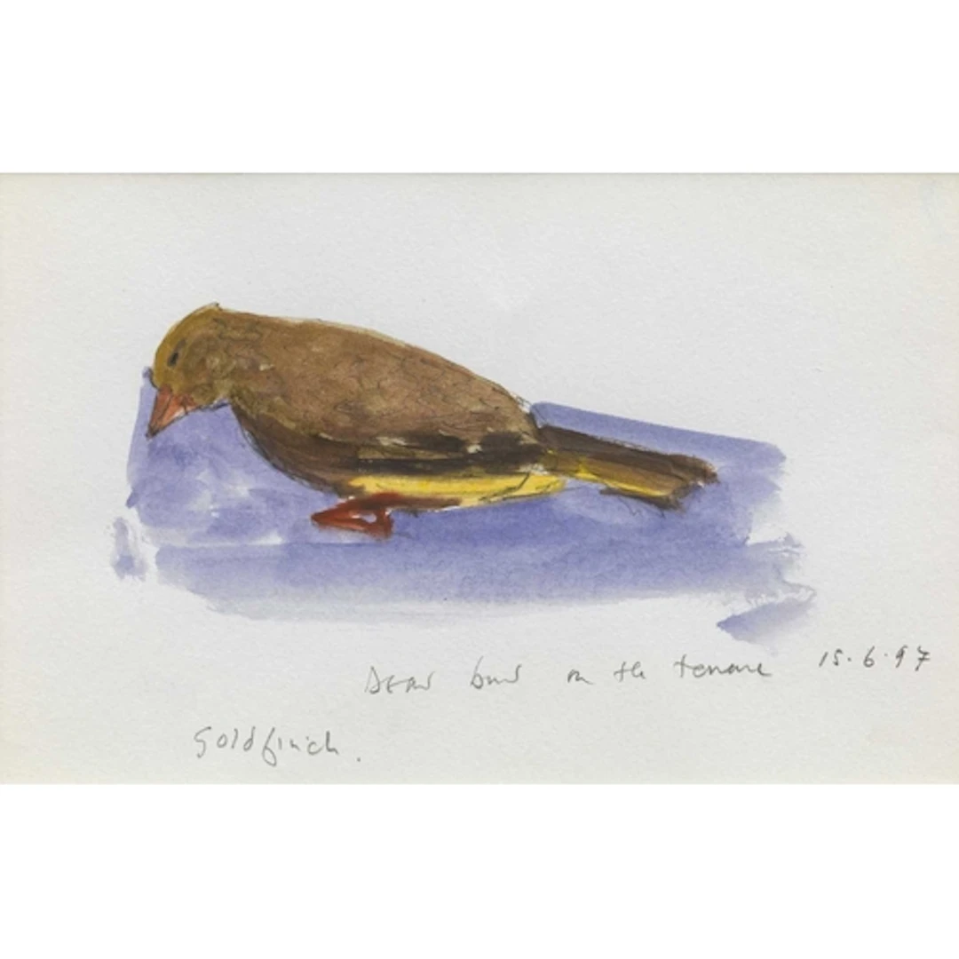 § John MILLER (1931-2002) Goldfinch, 1997 Gouache, inscribed...