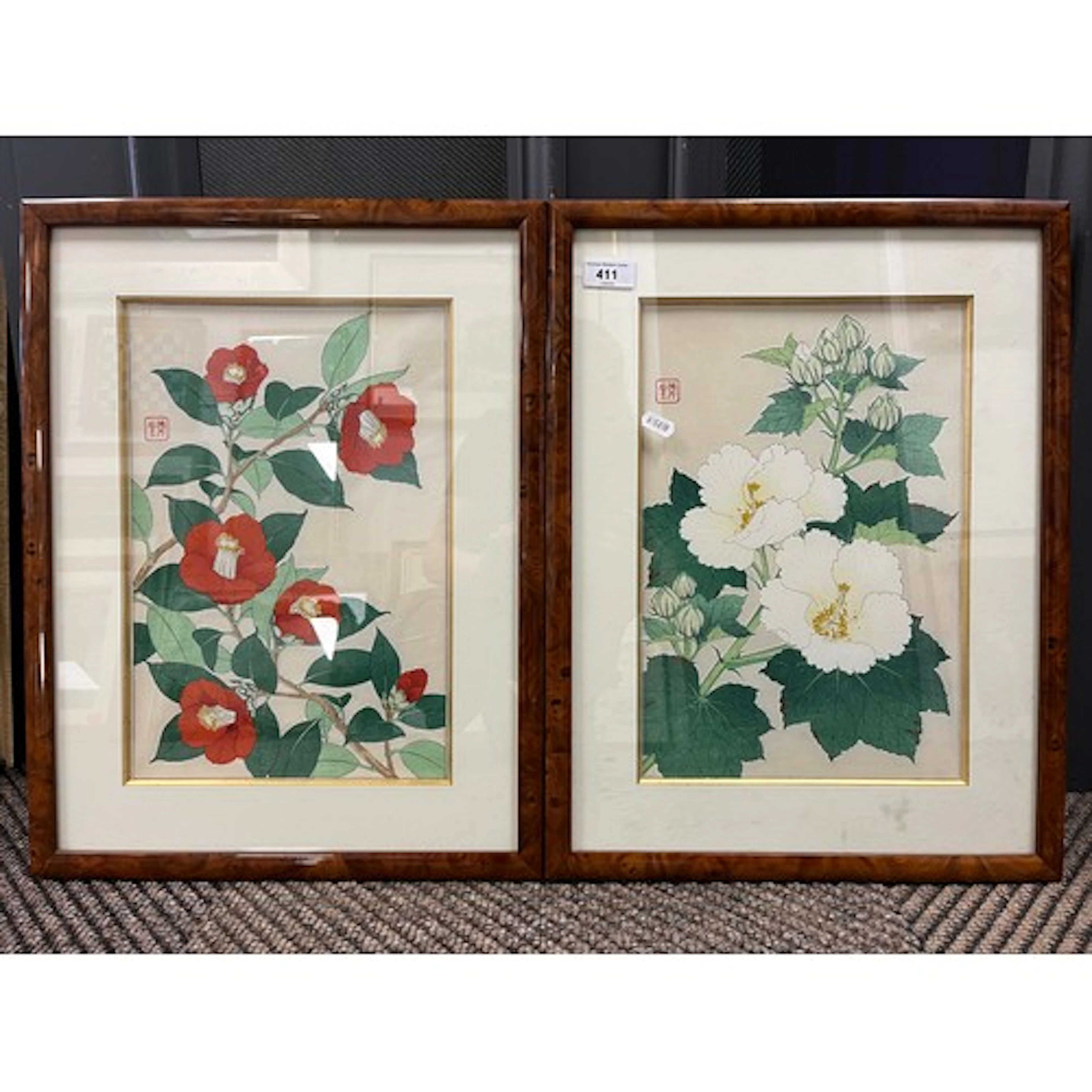 Two framed botanical prints, depicting a white hibiscus and ...