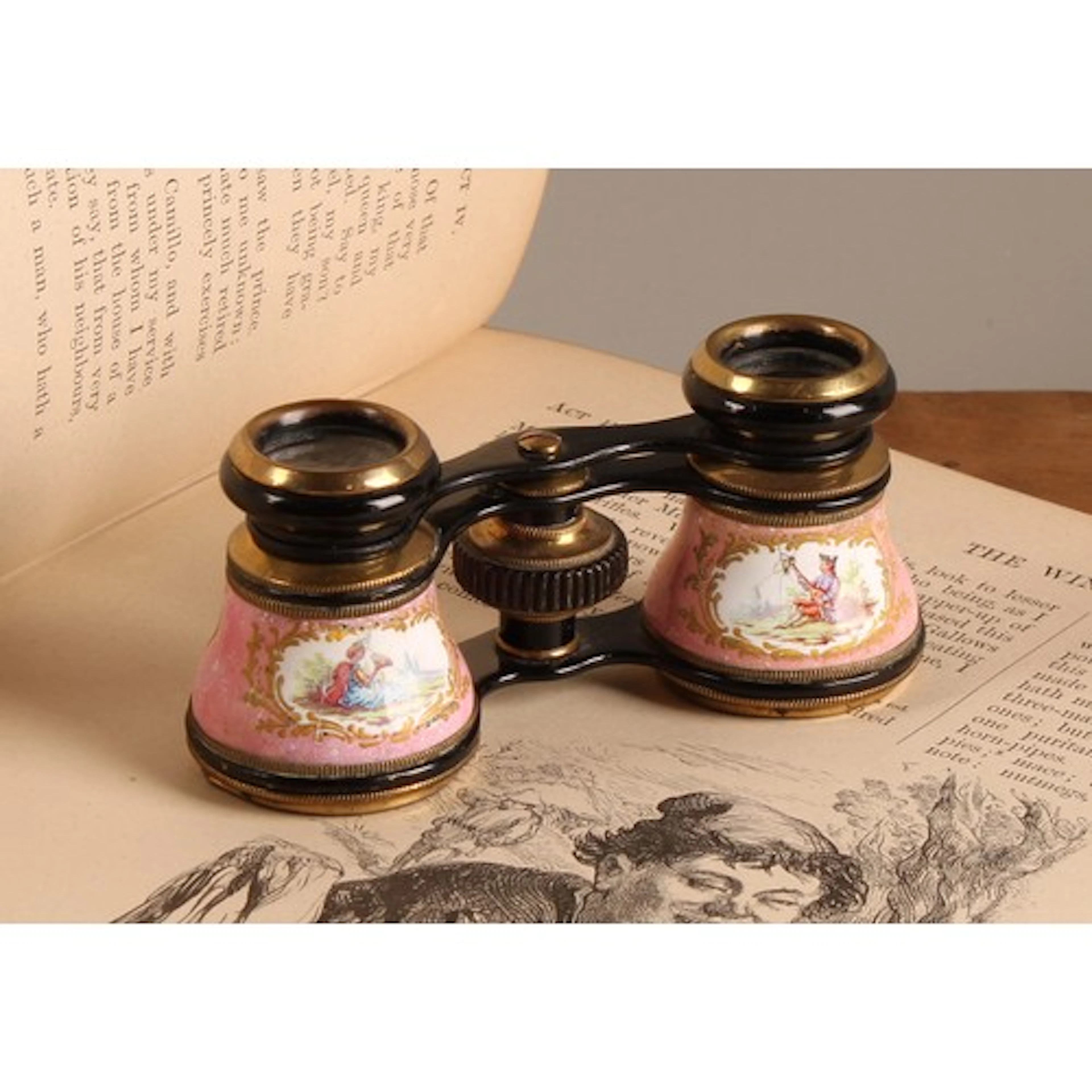 A pair of 19th century French enamel opera glasses, by Iris ...