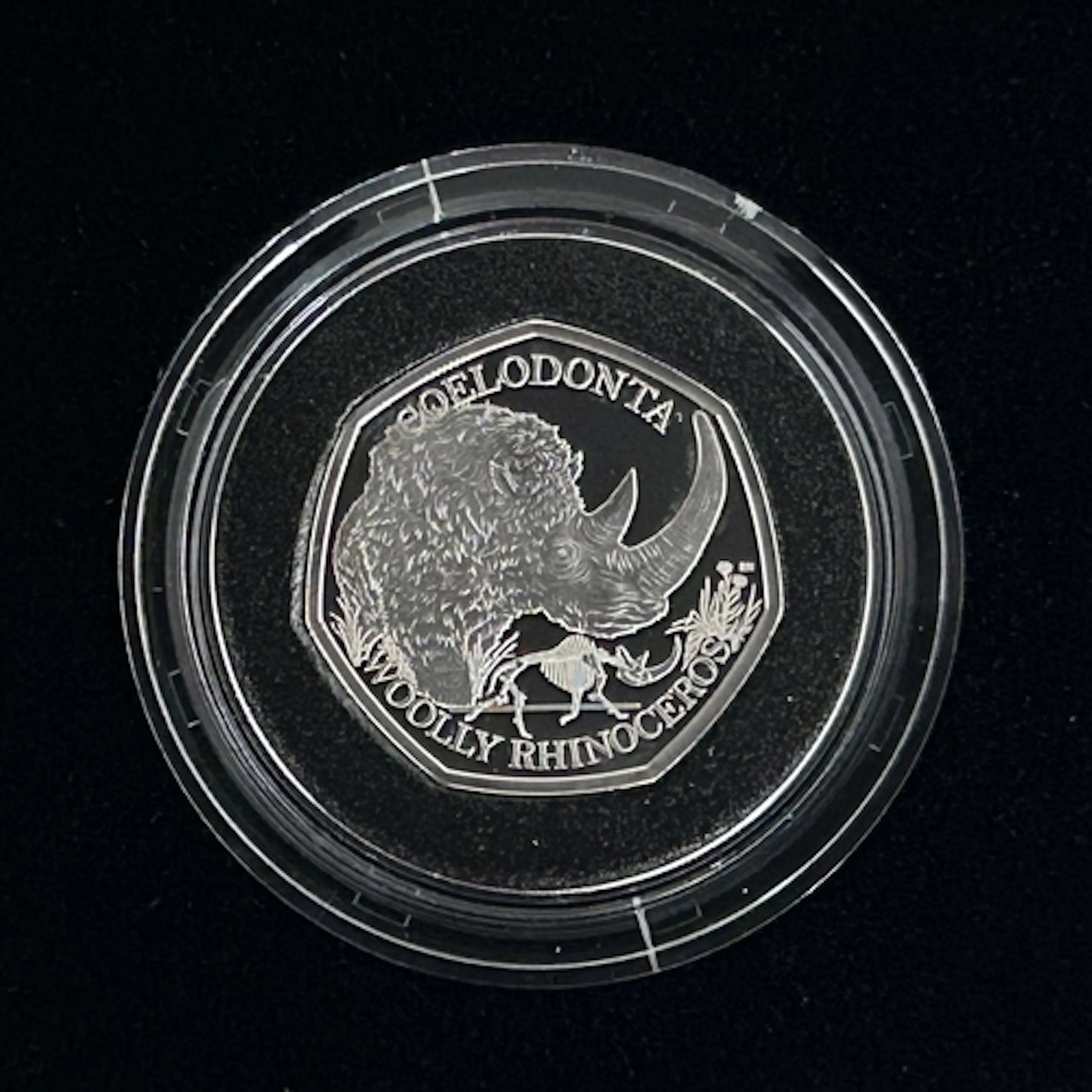 2024 UK King Charles III pair of silver proof 50p coins, Ice...
