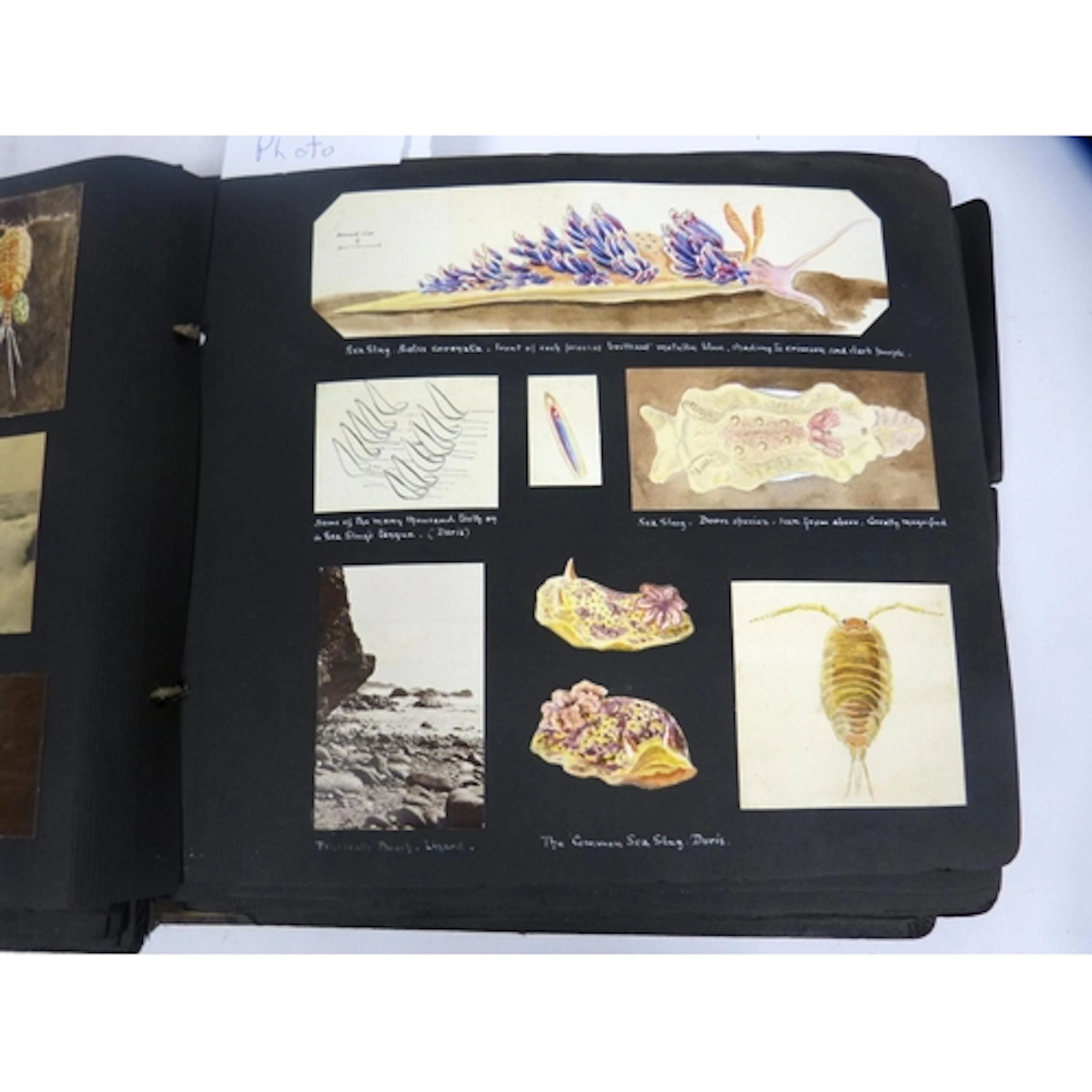 Sketches & Photographs. An album, c.1920's, in defectiv...