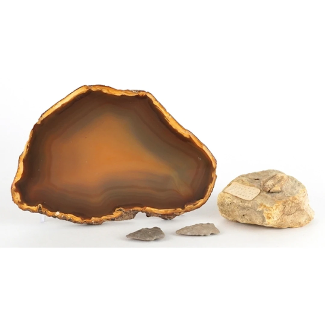 Two antique flint arrowheads, antique fossil and a section o...