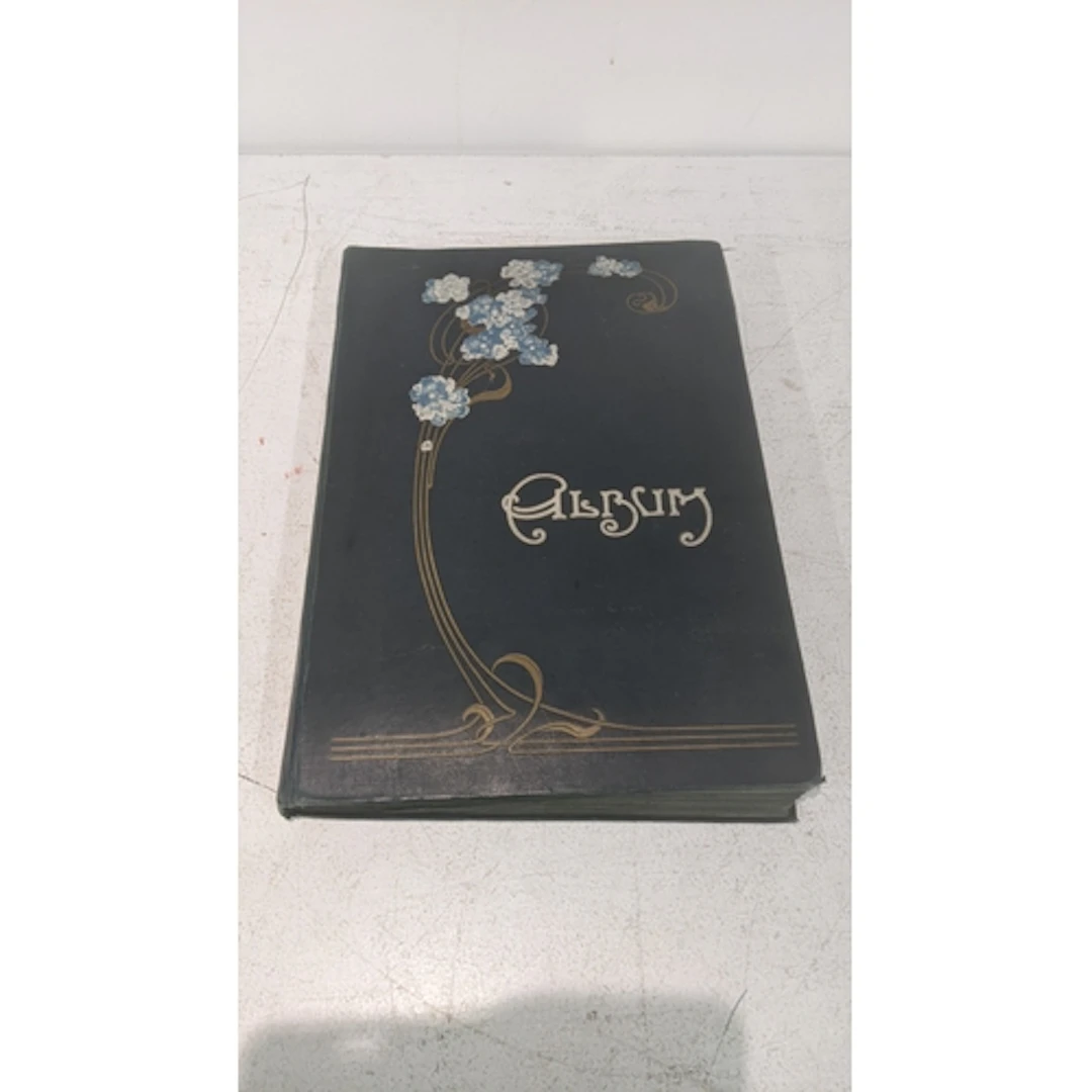 A vintage postcard album containing 120 postcards from Luton...