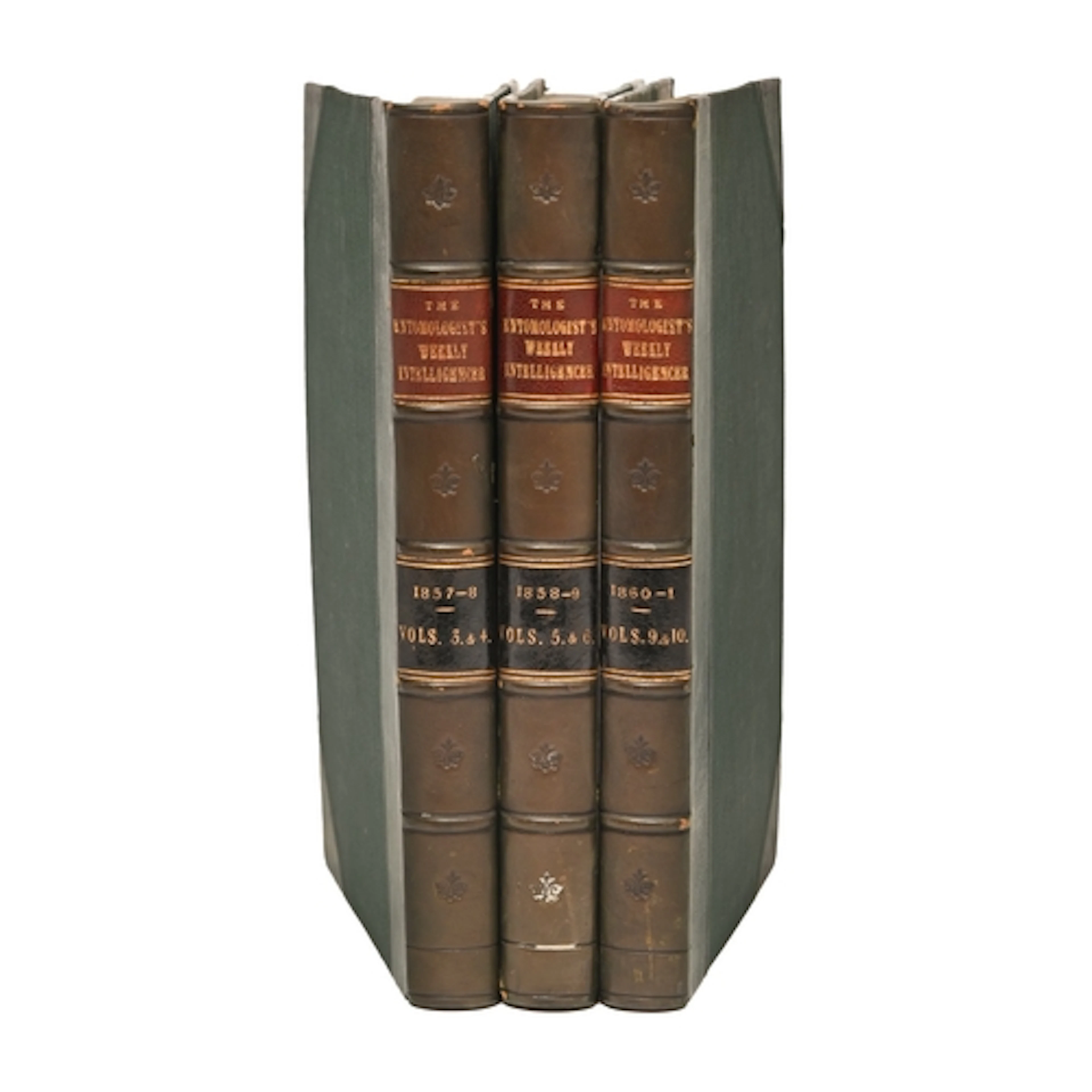 Natural History, Insects. [Stainton (Henry Tibbats, editor)]...