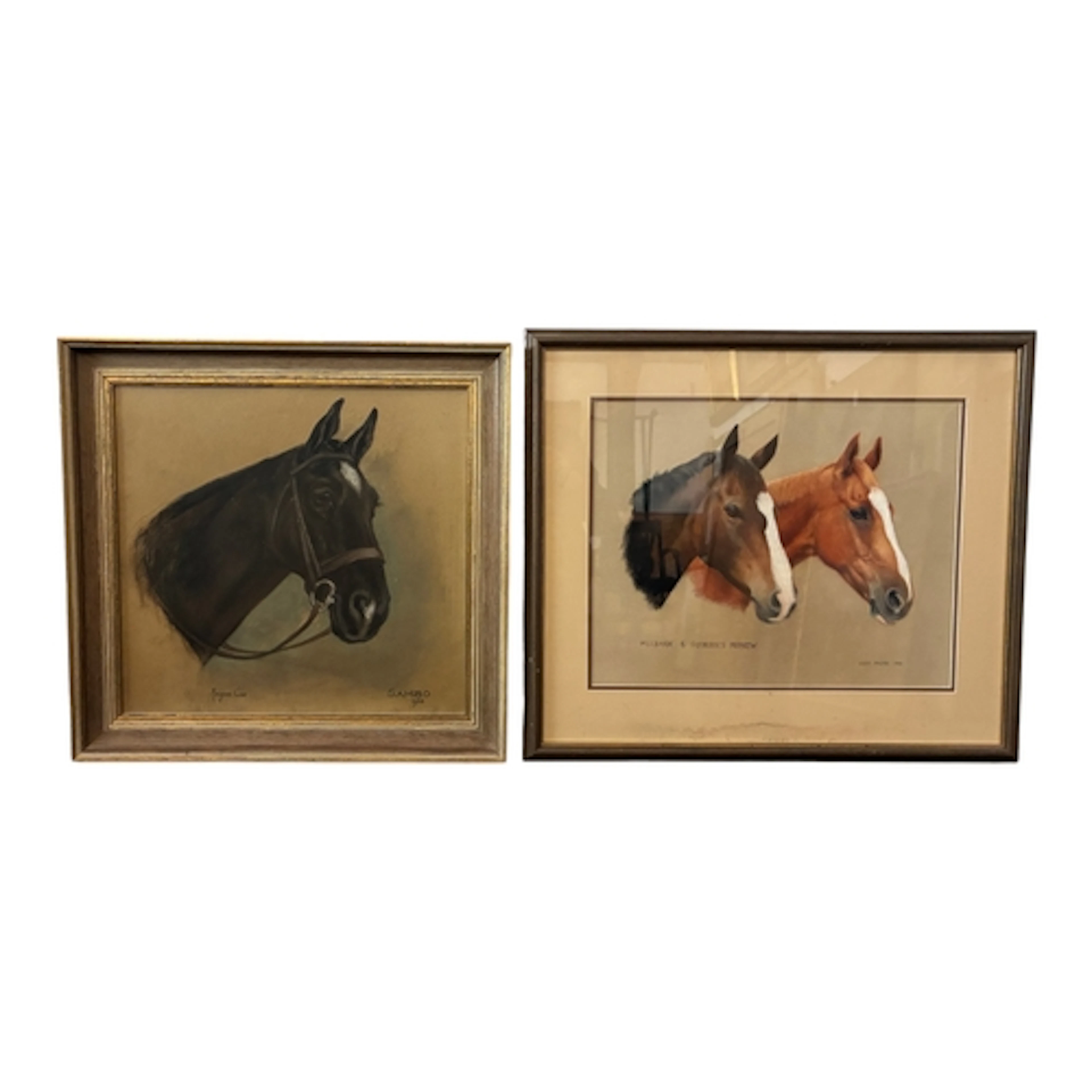 Two 20th century pastel portraits of horses: Marjorie Cox - ...