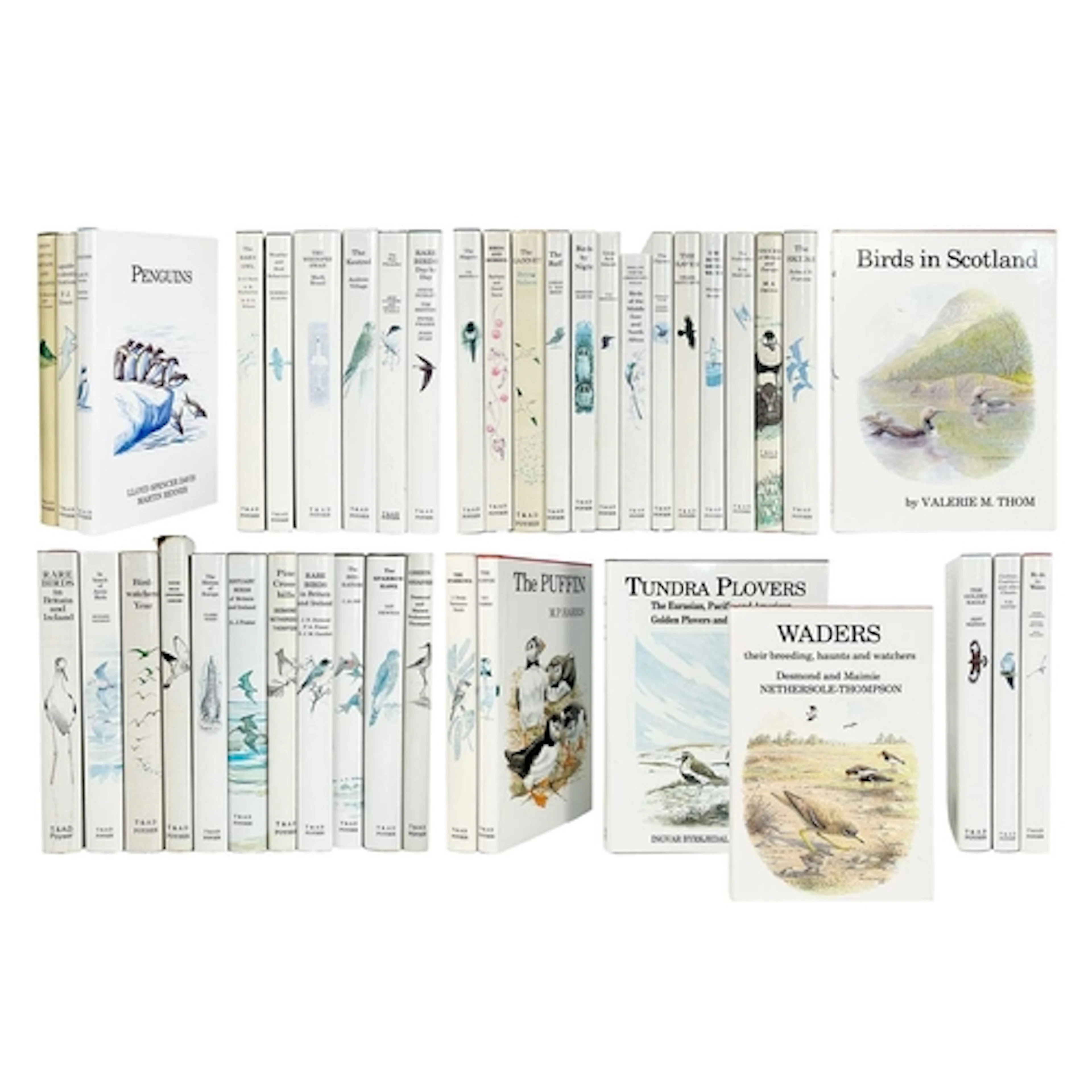(Ornithology) T & AD Poyser Forty one volumes Mostly all vg ...
