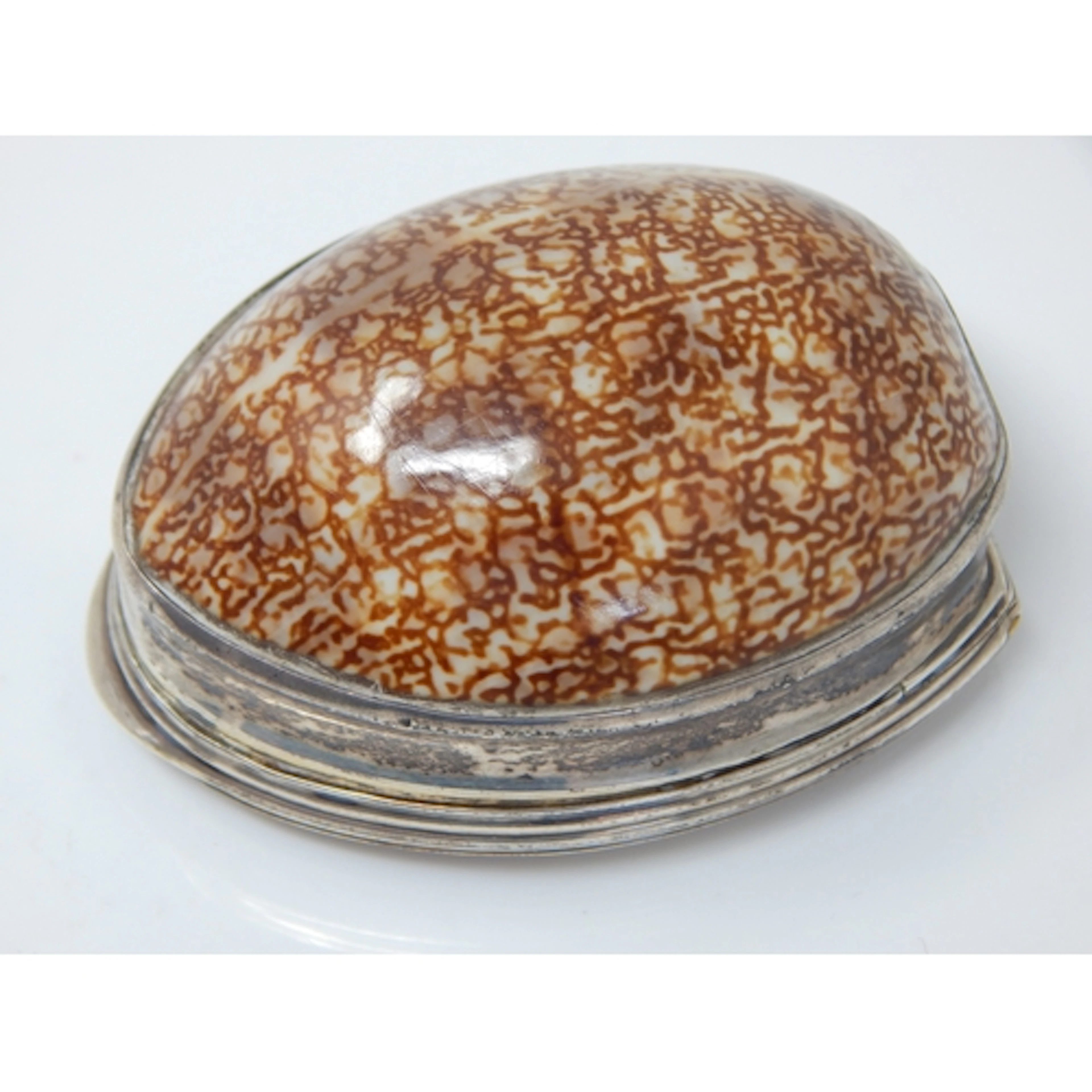 George III Silver & Cowrie Shell Snuff Box: Hallmarked Birmi...
