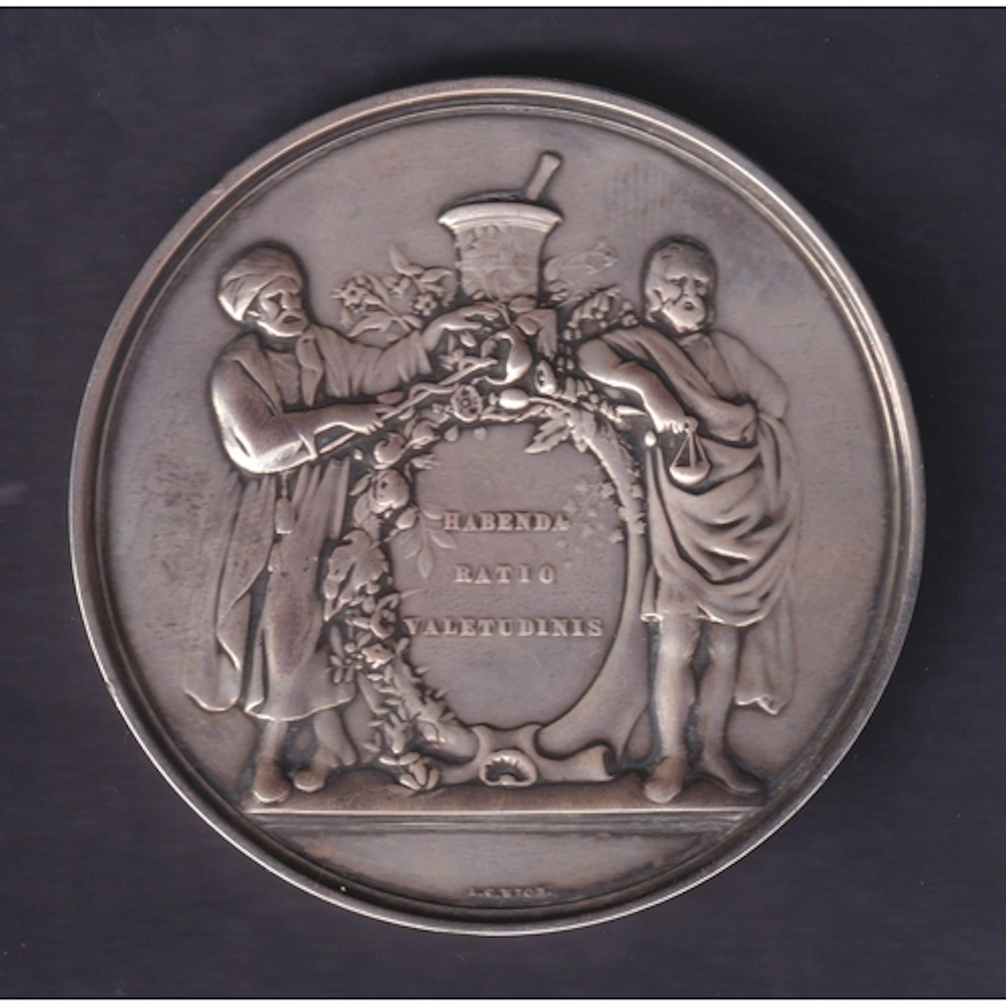 Pharmaceutical Society, 1880 Silver Prize Medal awarded to J...