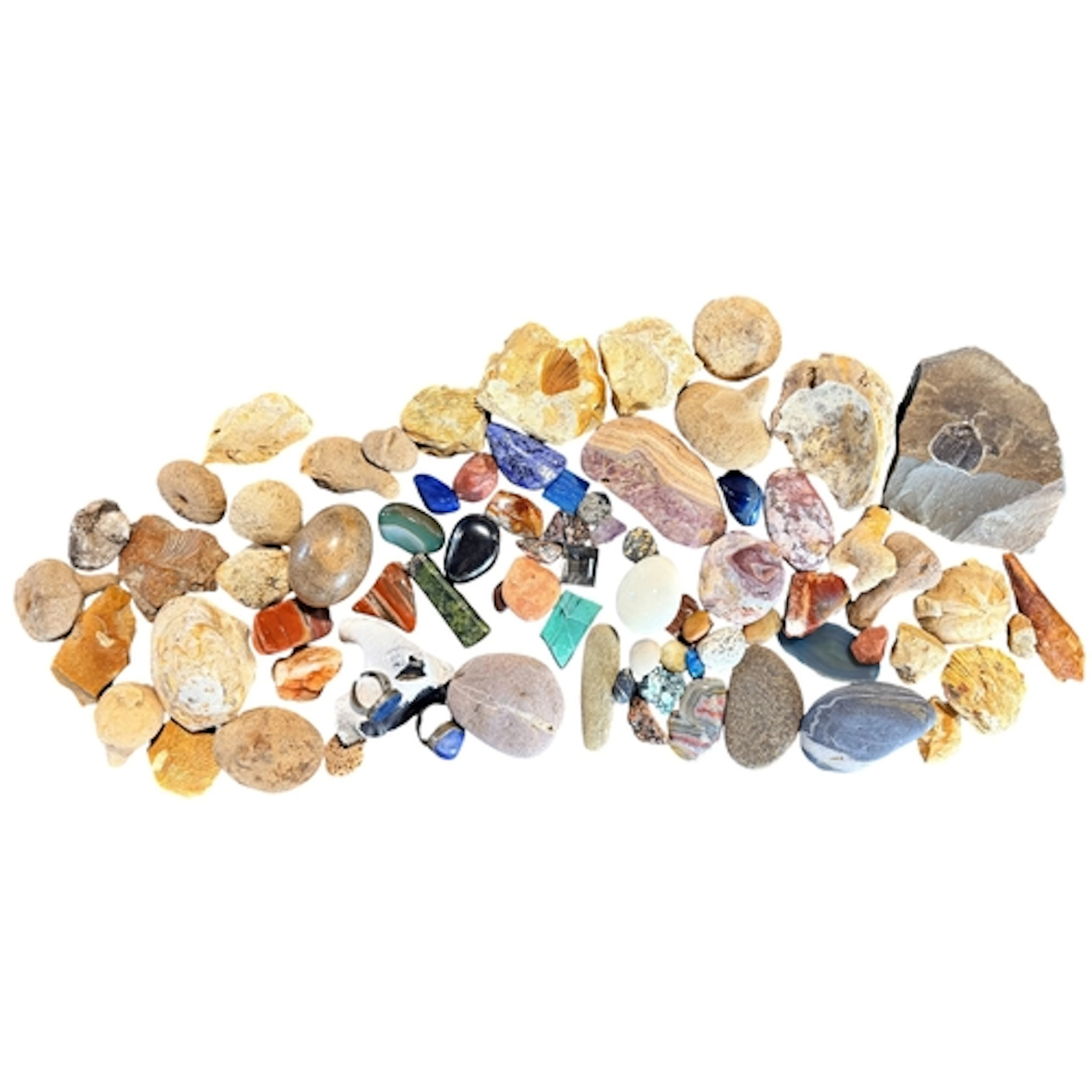 Science interest; a collection of various minerals and fossi...
