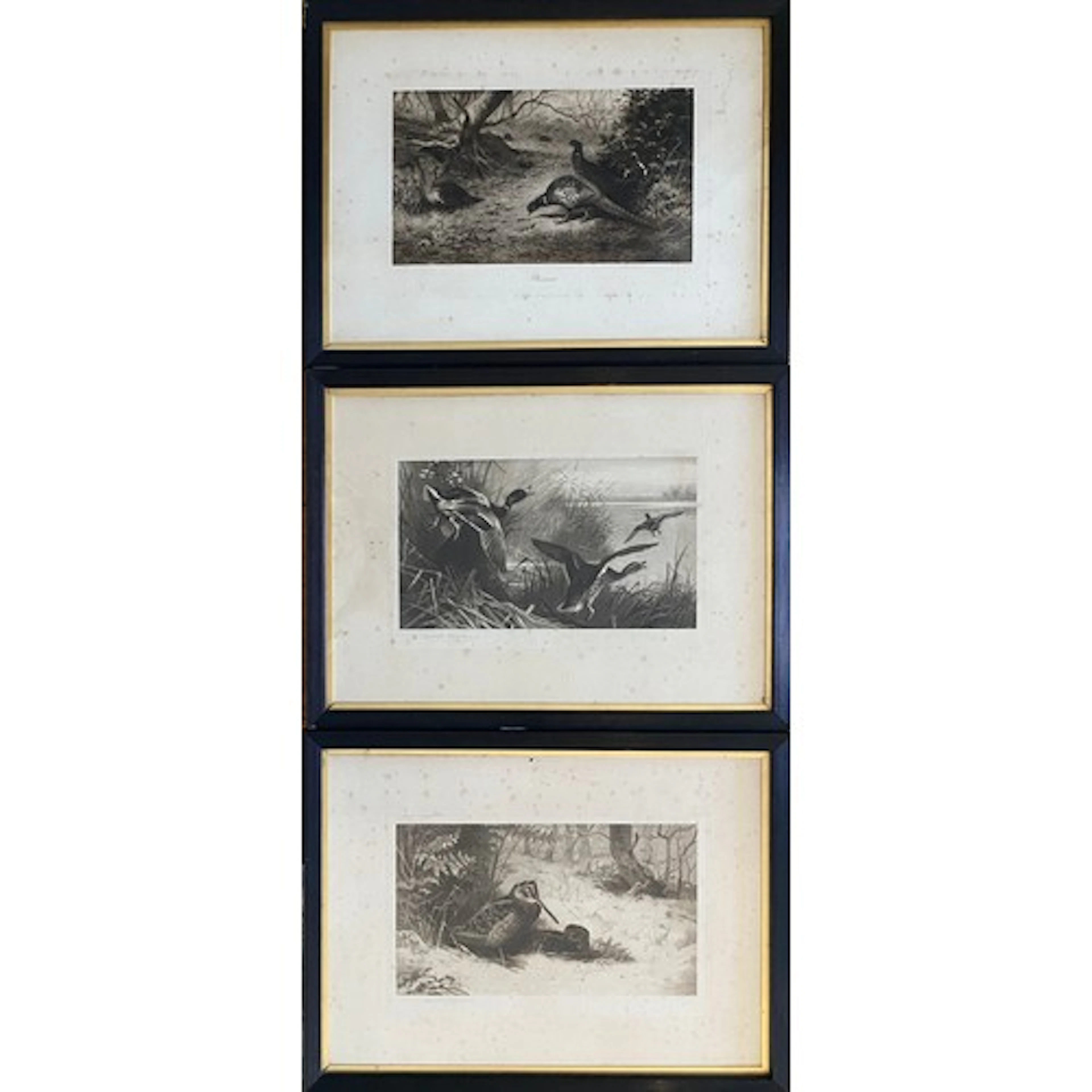 Archibald Thorburn, three signed prints, Pheasants, Ducks an...