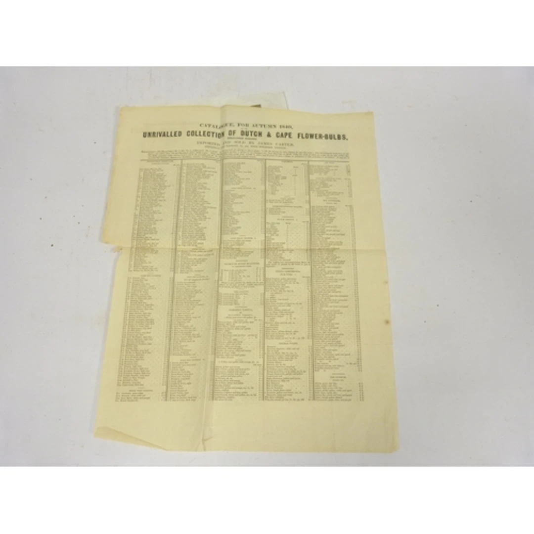 CARTER JAMES of 238 High Holborn, London. Catalogue fo...