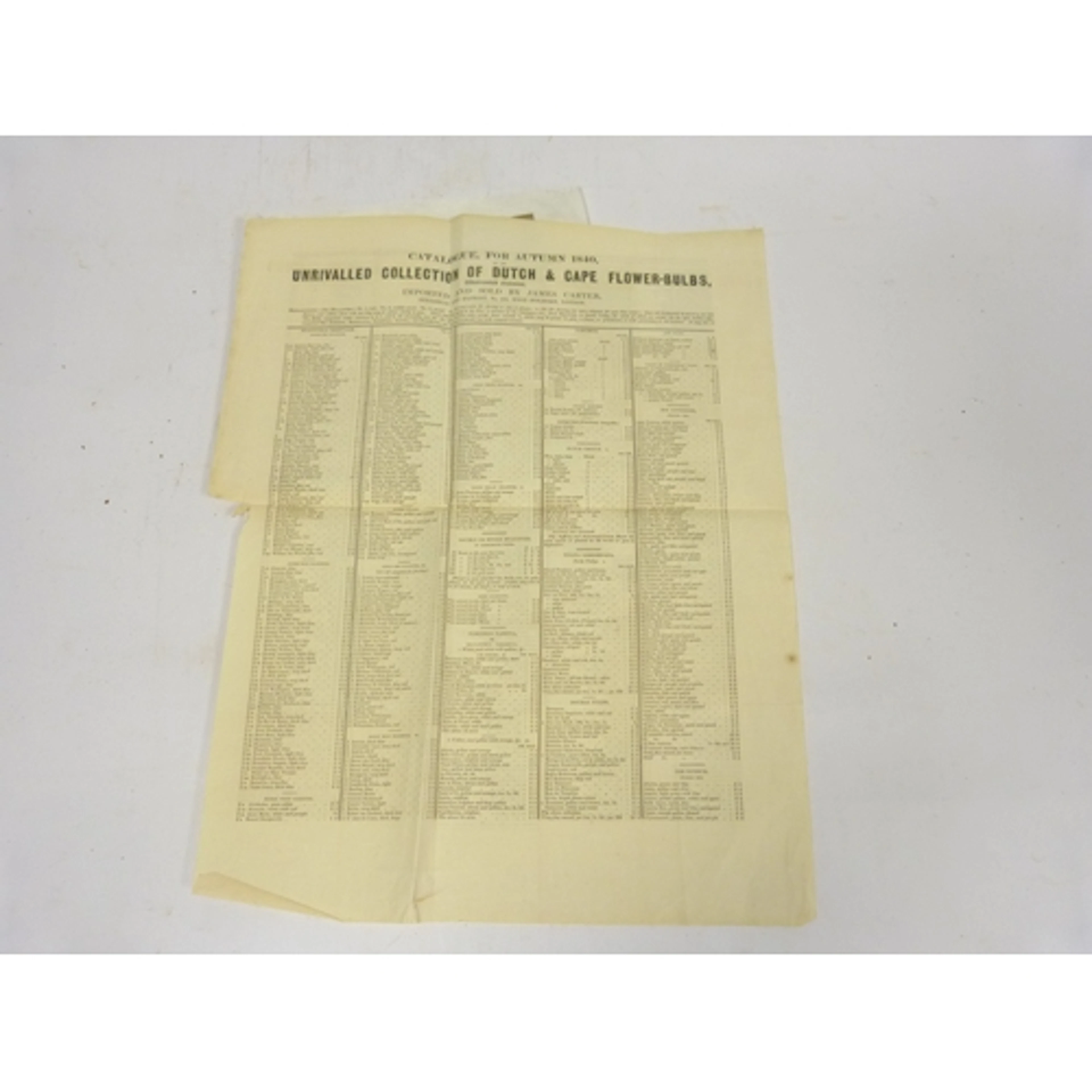 CARTER JAMES of 238 High Holborn, London. Catalogue fo...
