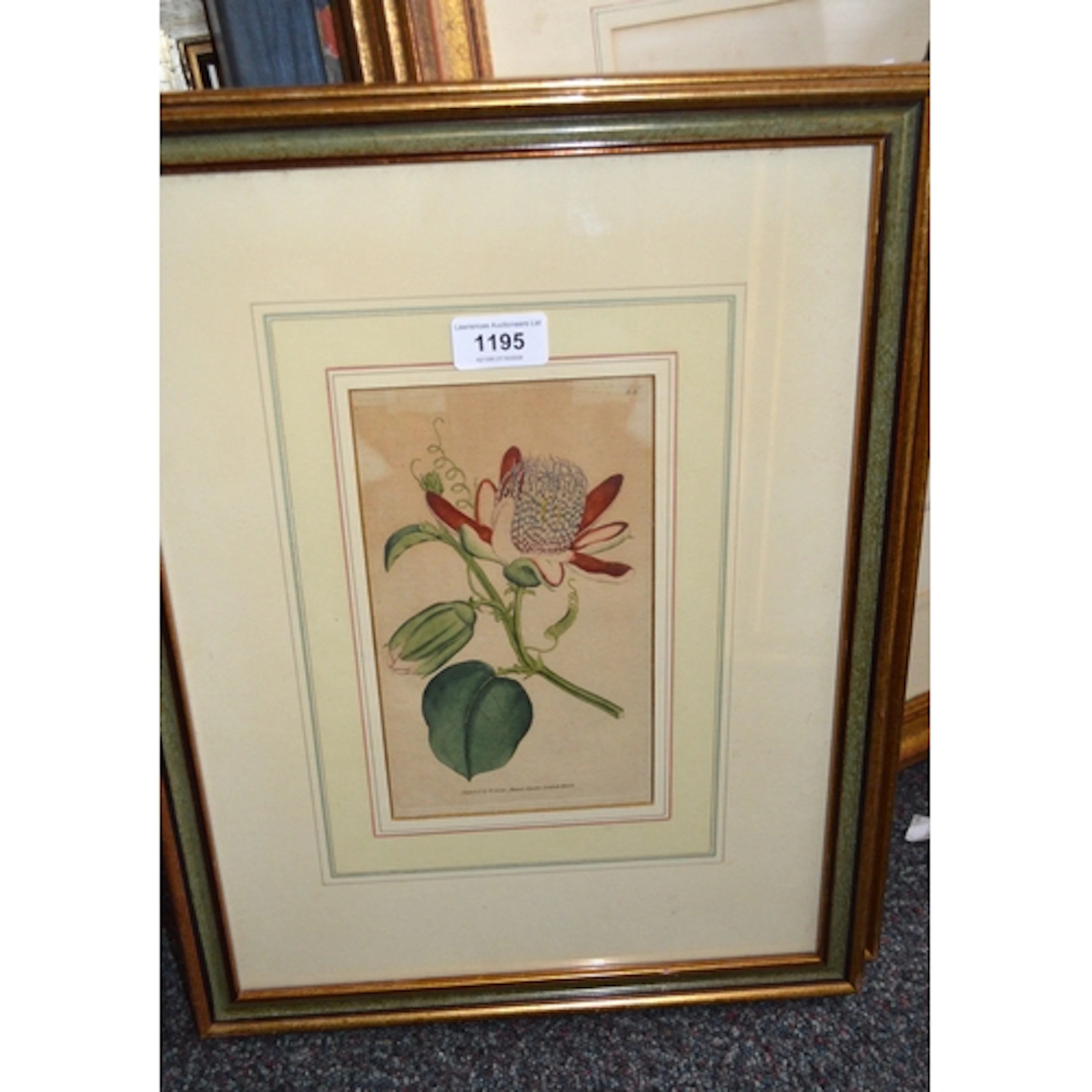 Pair of small 19th Century hand coloured botanical engraving...