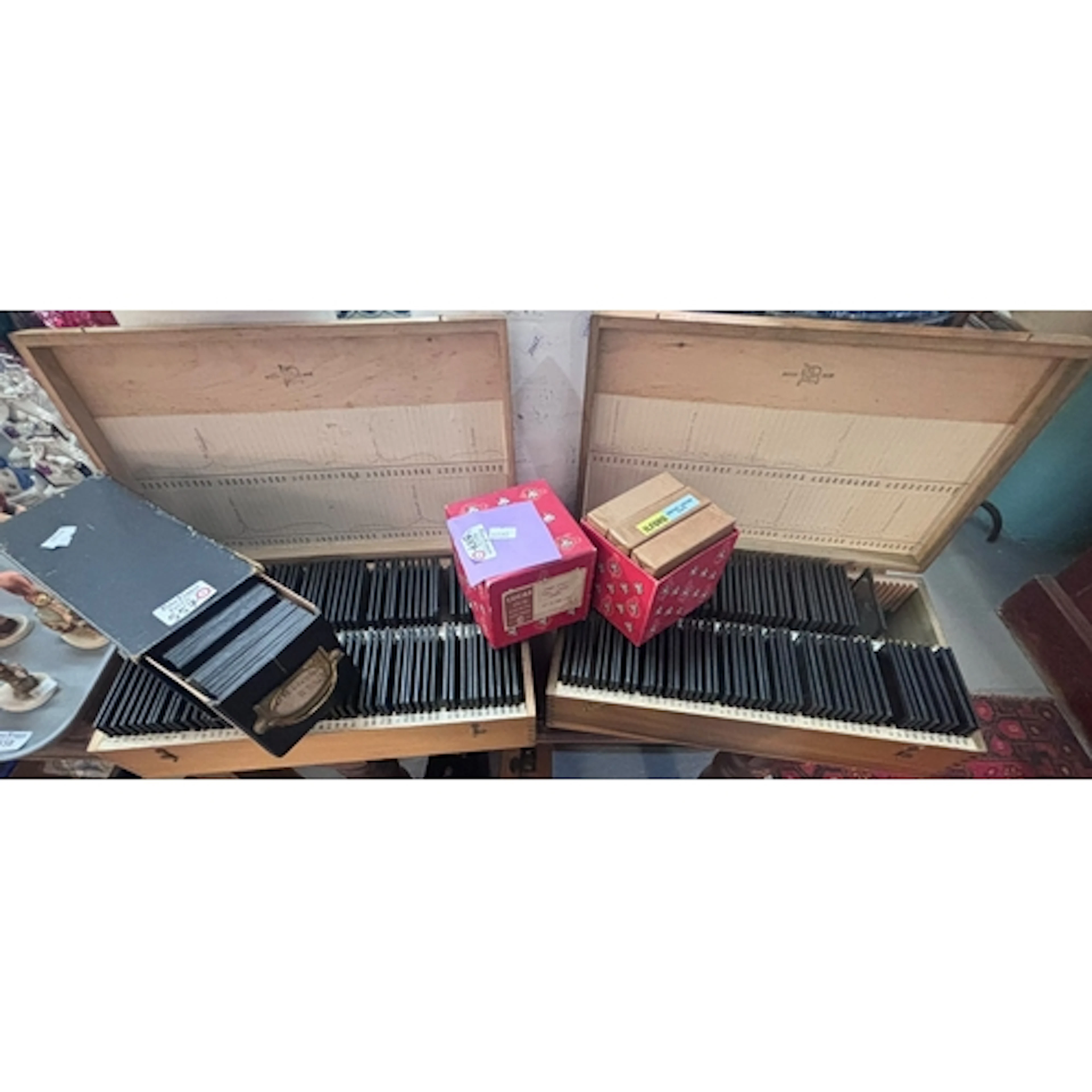 Collection of Disney and other coloured magic lantern slides...