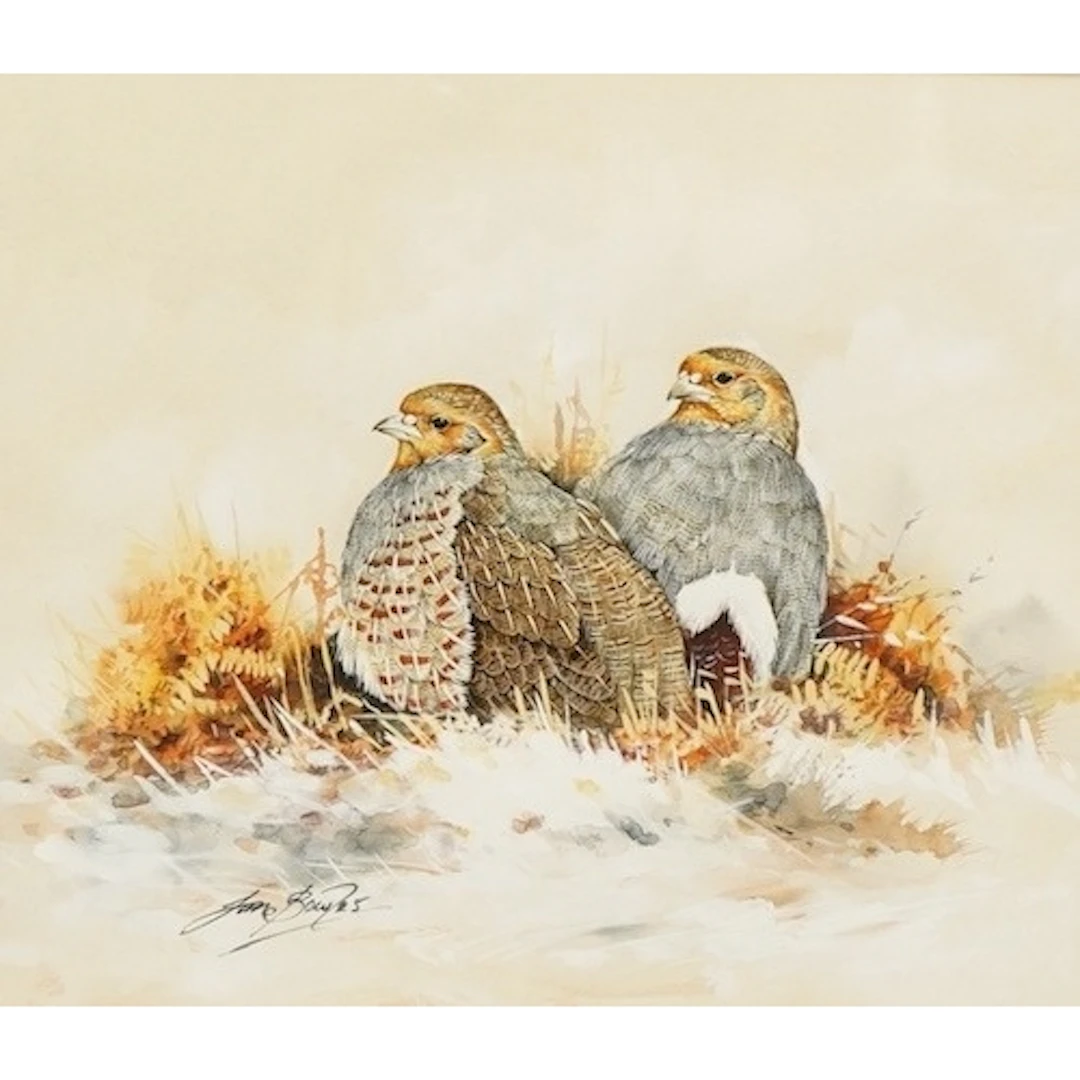 Ian Bowles (1947-2018), Partridges in snow, signed, watercol...