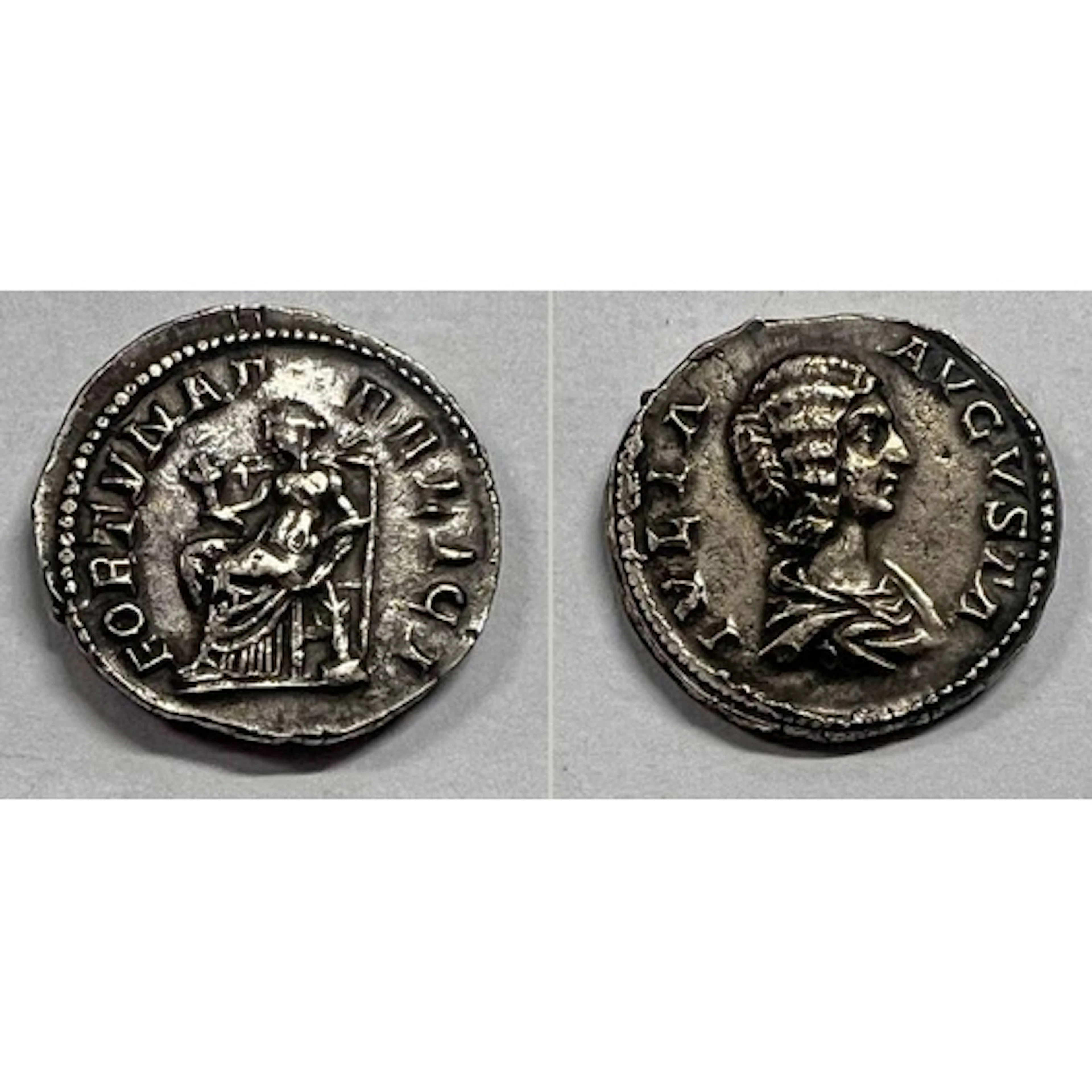 JULIA DOMNA 193-211 SILVR DENARIUS, REVERSE WITH FORTUNA ENT...