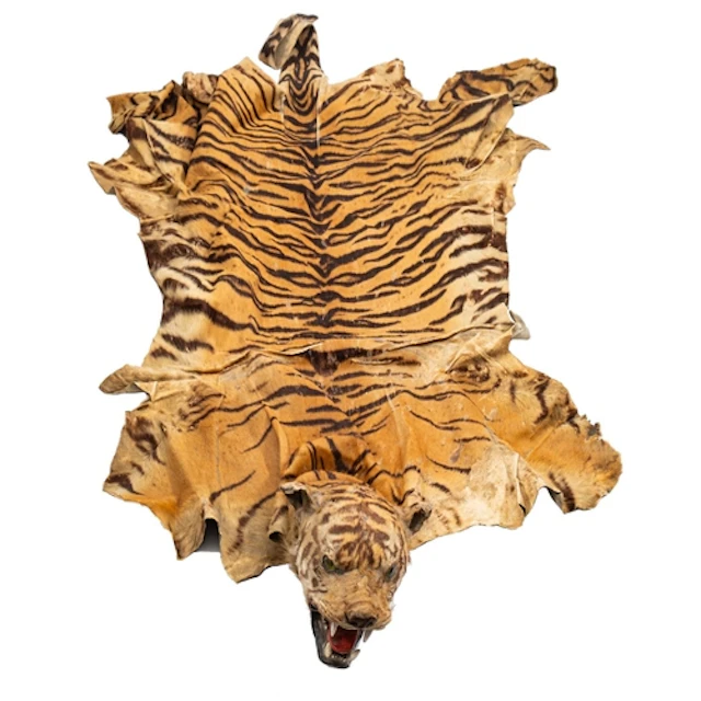 An early 20th century taxidermy tiger skin, unsigned, full h...