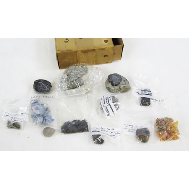 A collection of assorted fossils including ammonites, fossil...