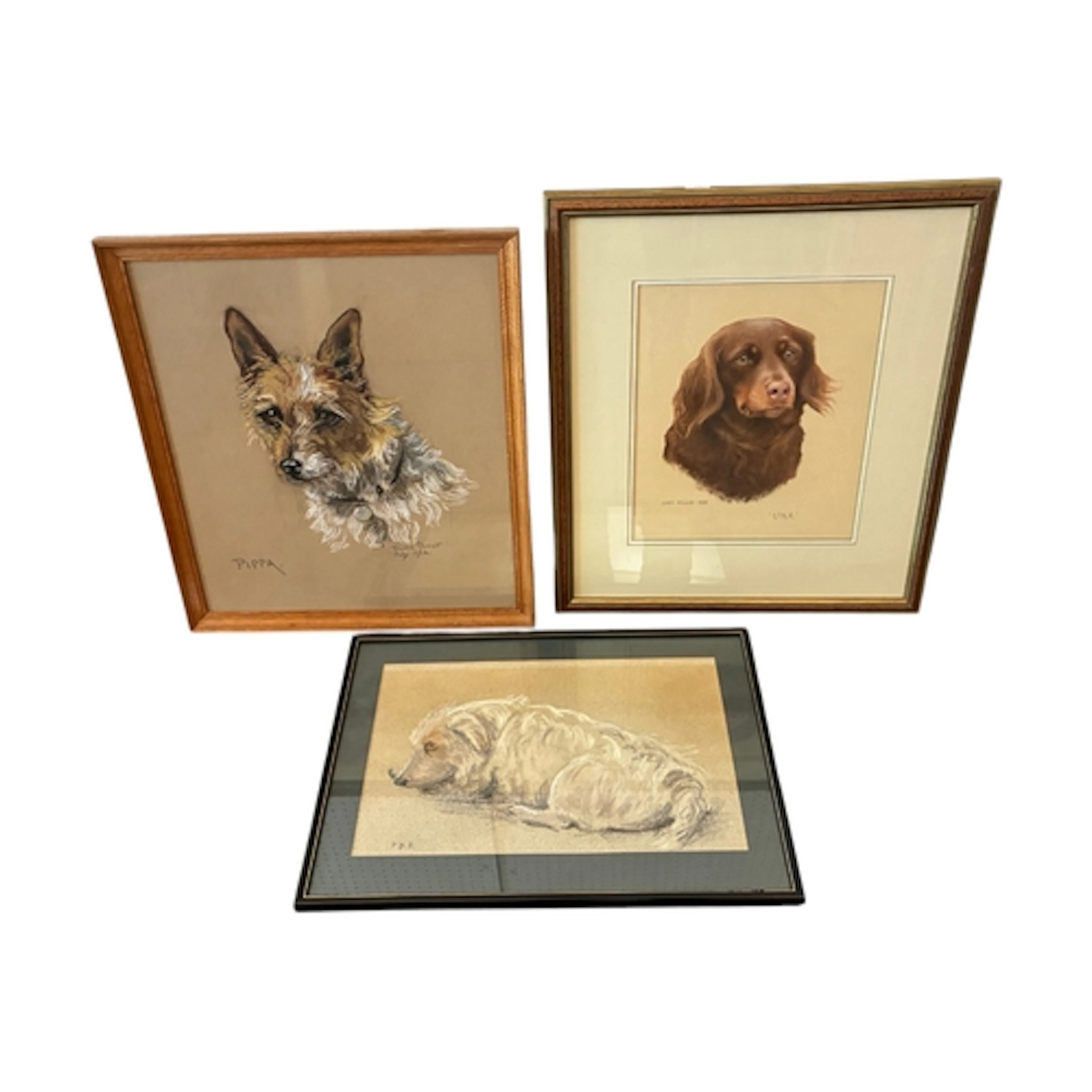 Three 20th century pastel portraits of dogs: Lucy Milne - 'U...