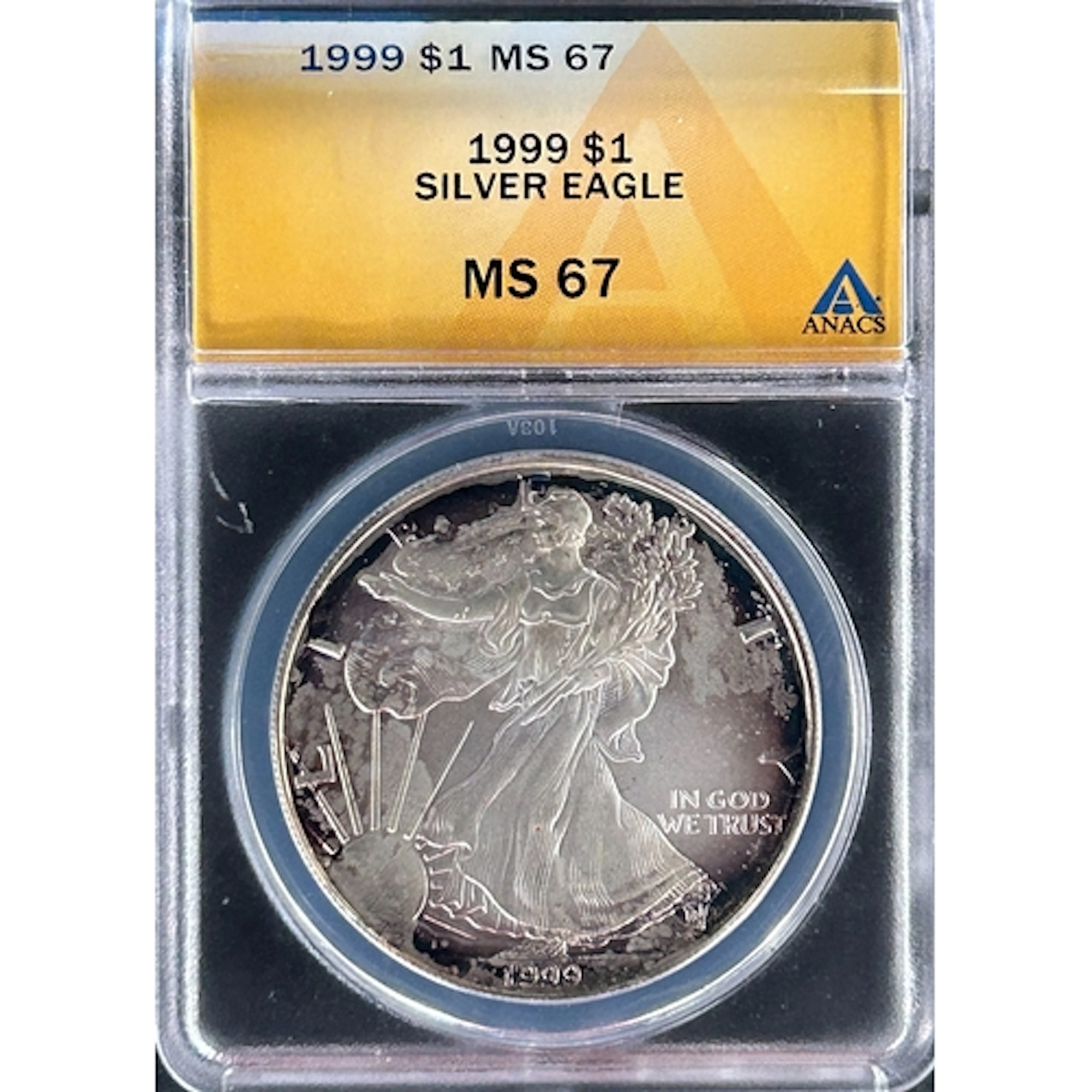 1999 USA $1 silver Eagle coin (toned), slabbed and graded by...