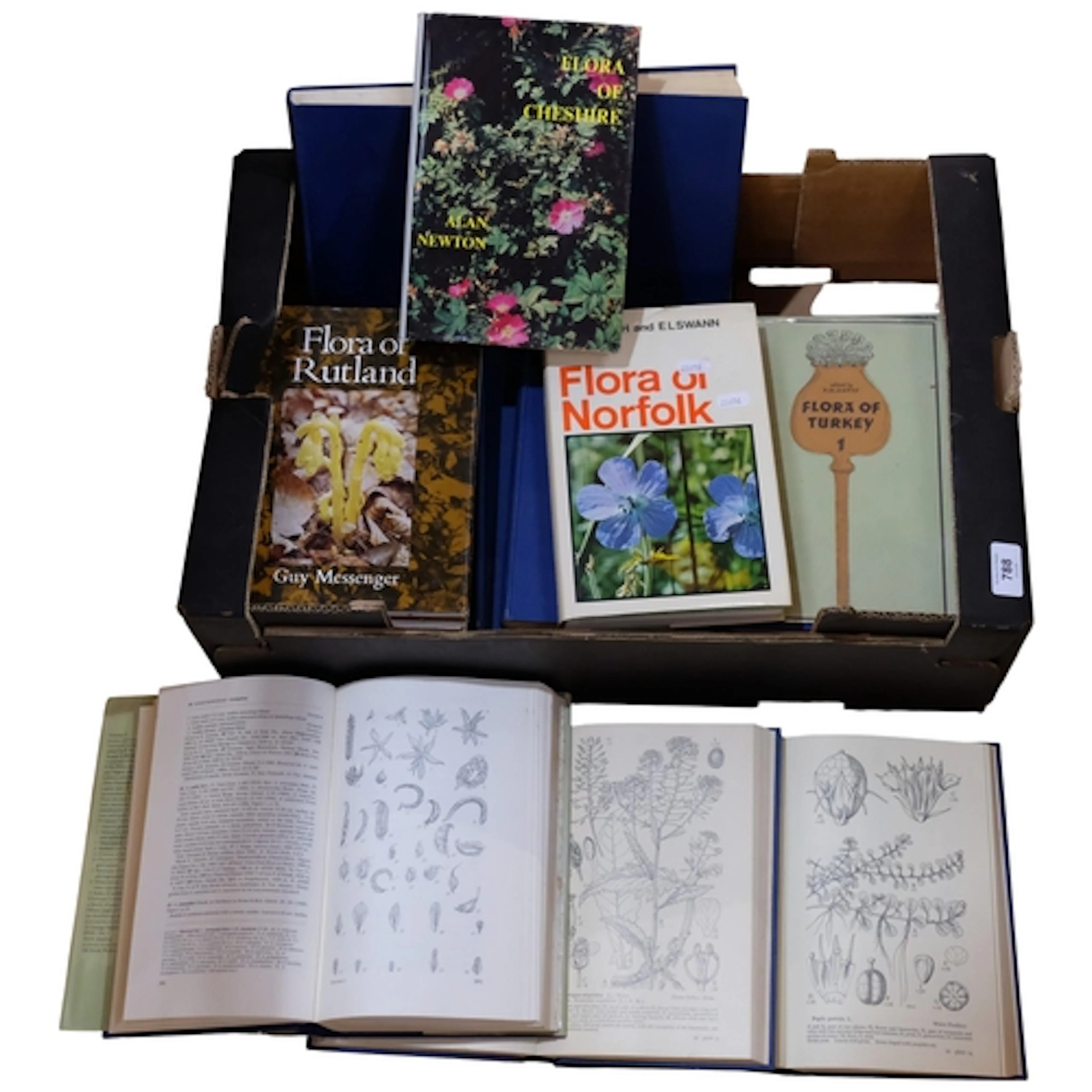 A quantity of botanical books, including Flora Of Turkey, Ro...