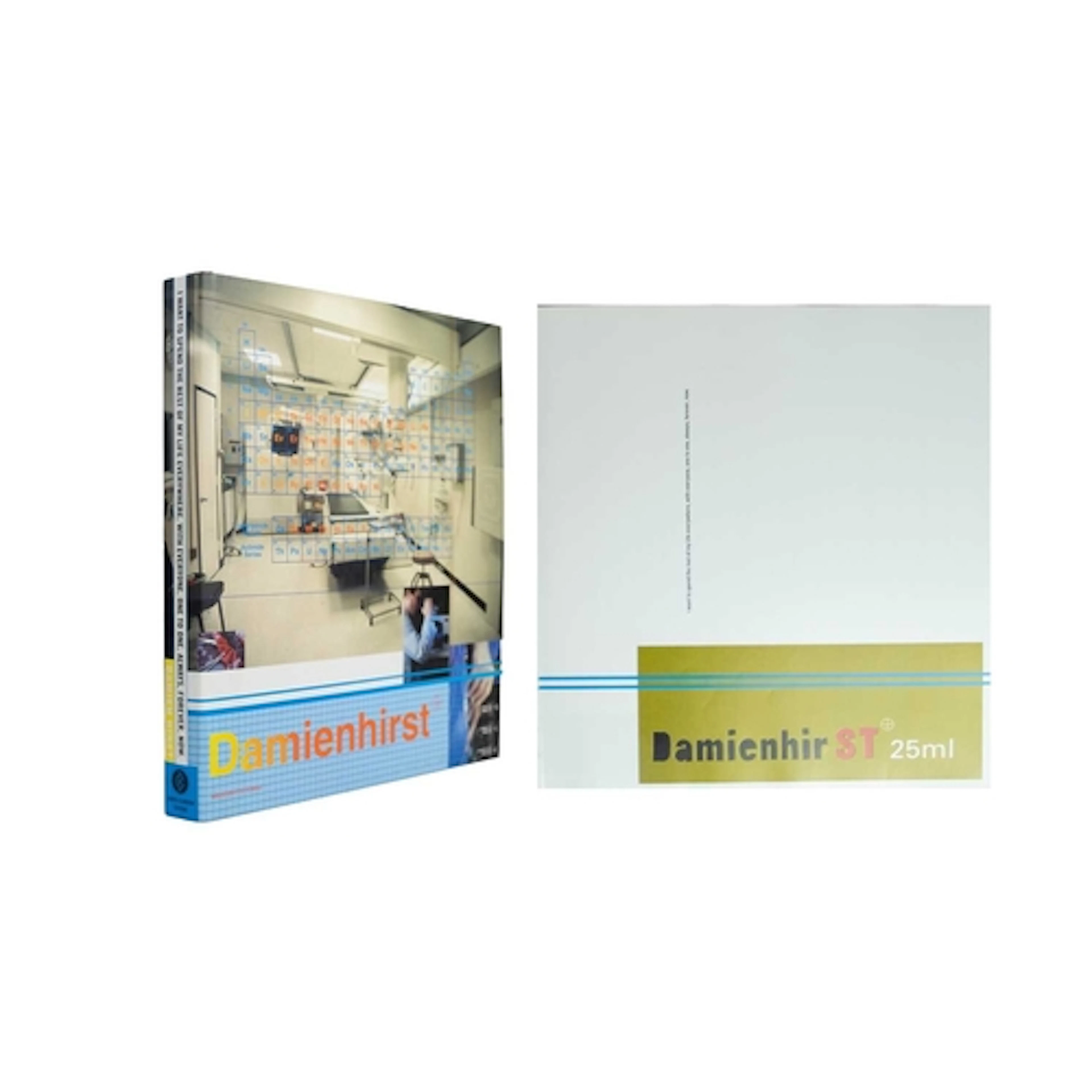 Damien Hirst I Want to Spend the Rest of My Life Everywhere,...