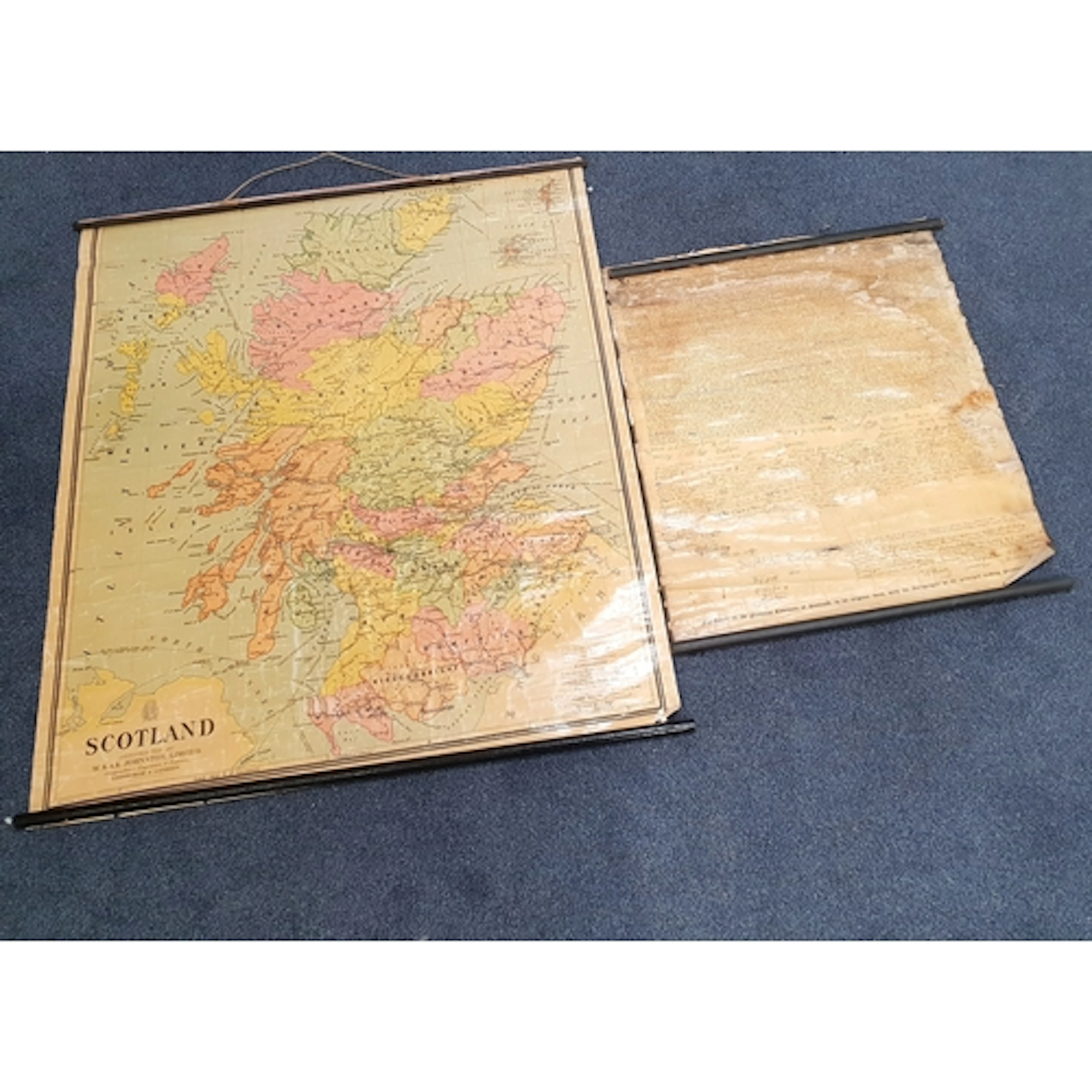 PAIR OF VINTAGE CANVAS-BACKED EDUCATIONAL PULL DOWN PRINTS c...