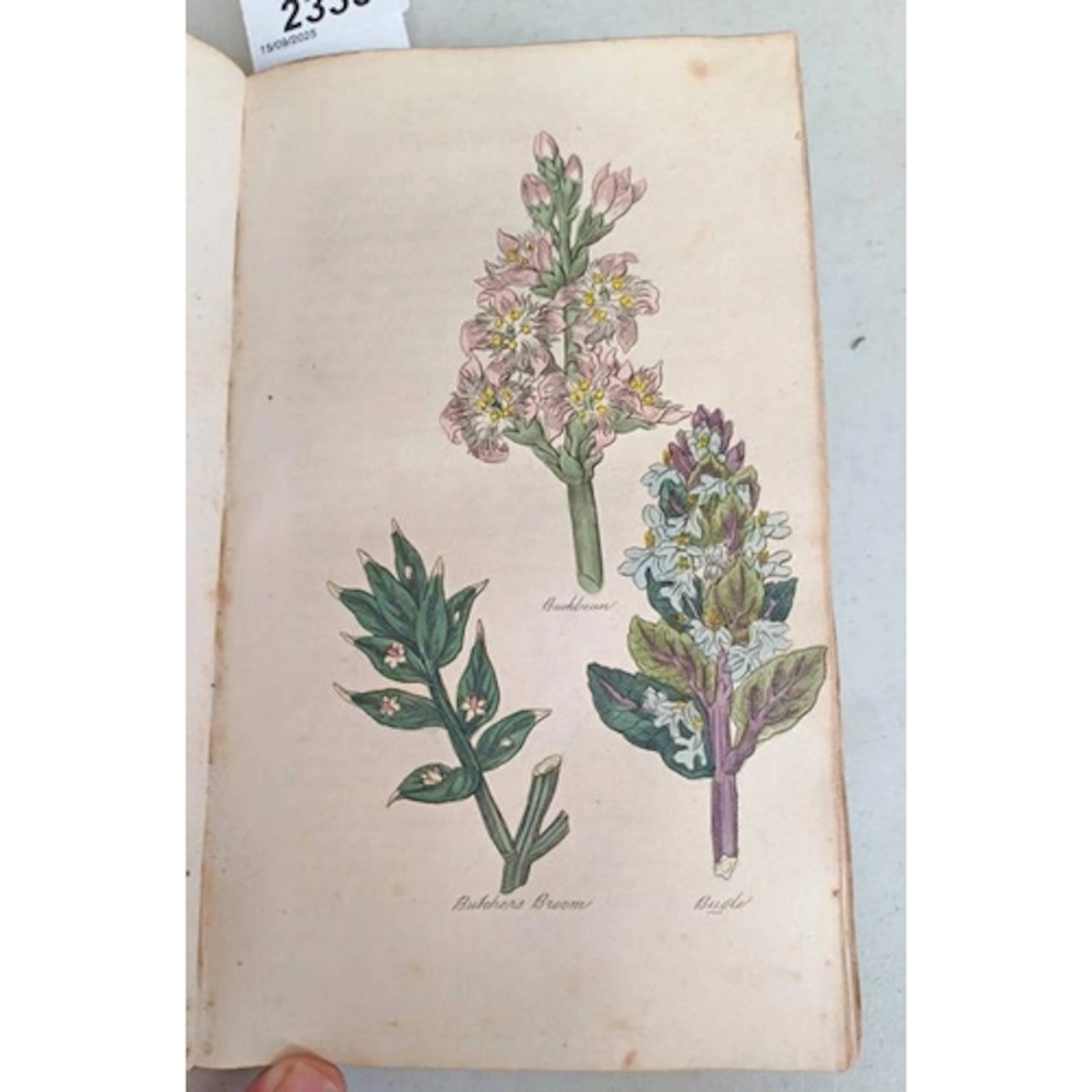 THE FAMILY HERBAL, OR AN ACCOUNT OF ALL THOSE ENGLISH PLANTS...
