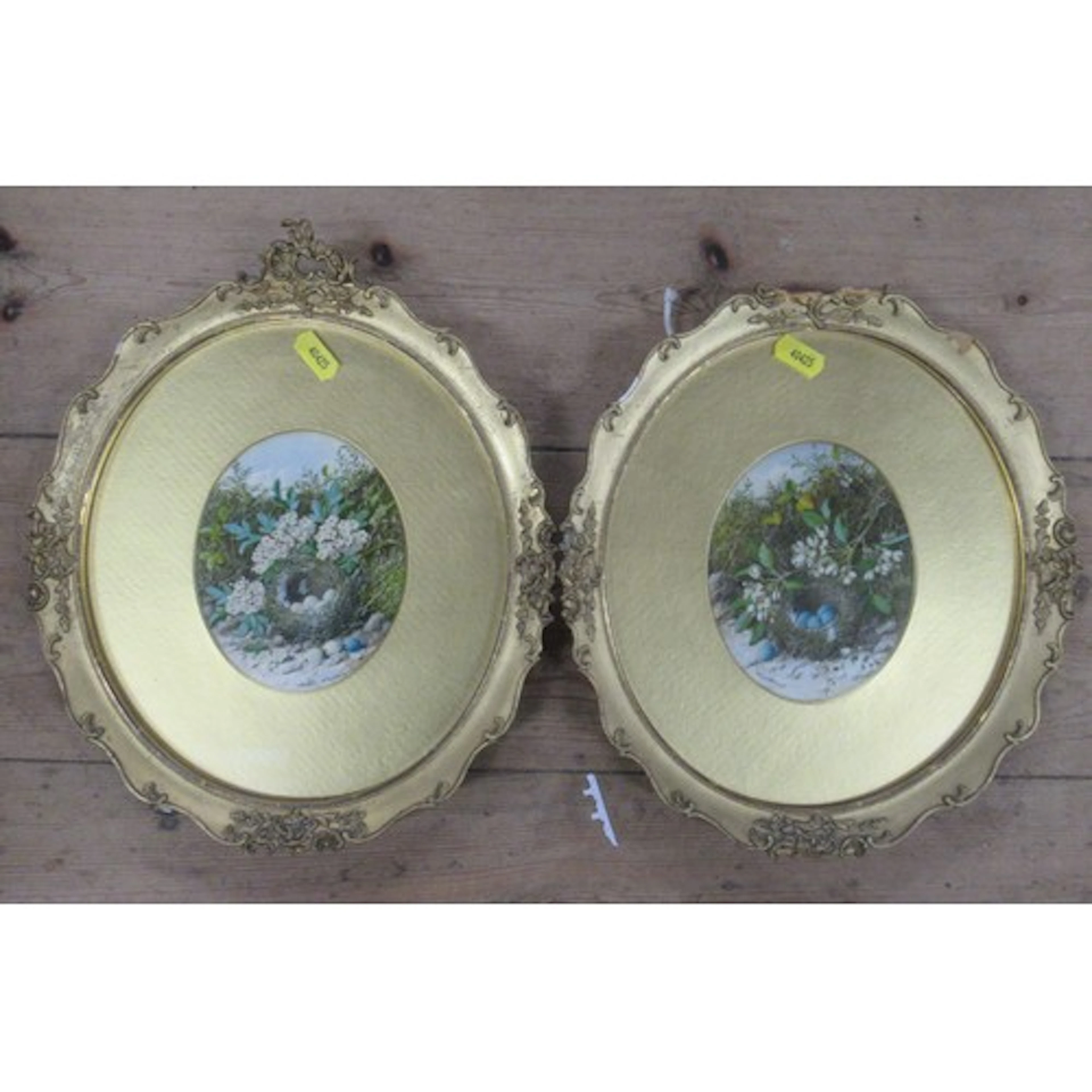 W Cruickshank, pair of oval watercolours, studies of birds n...
