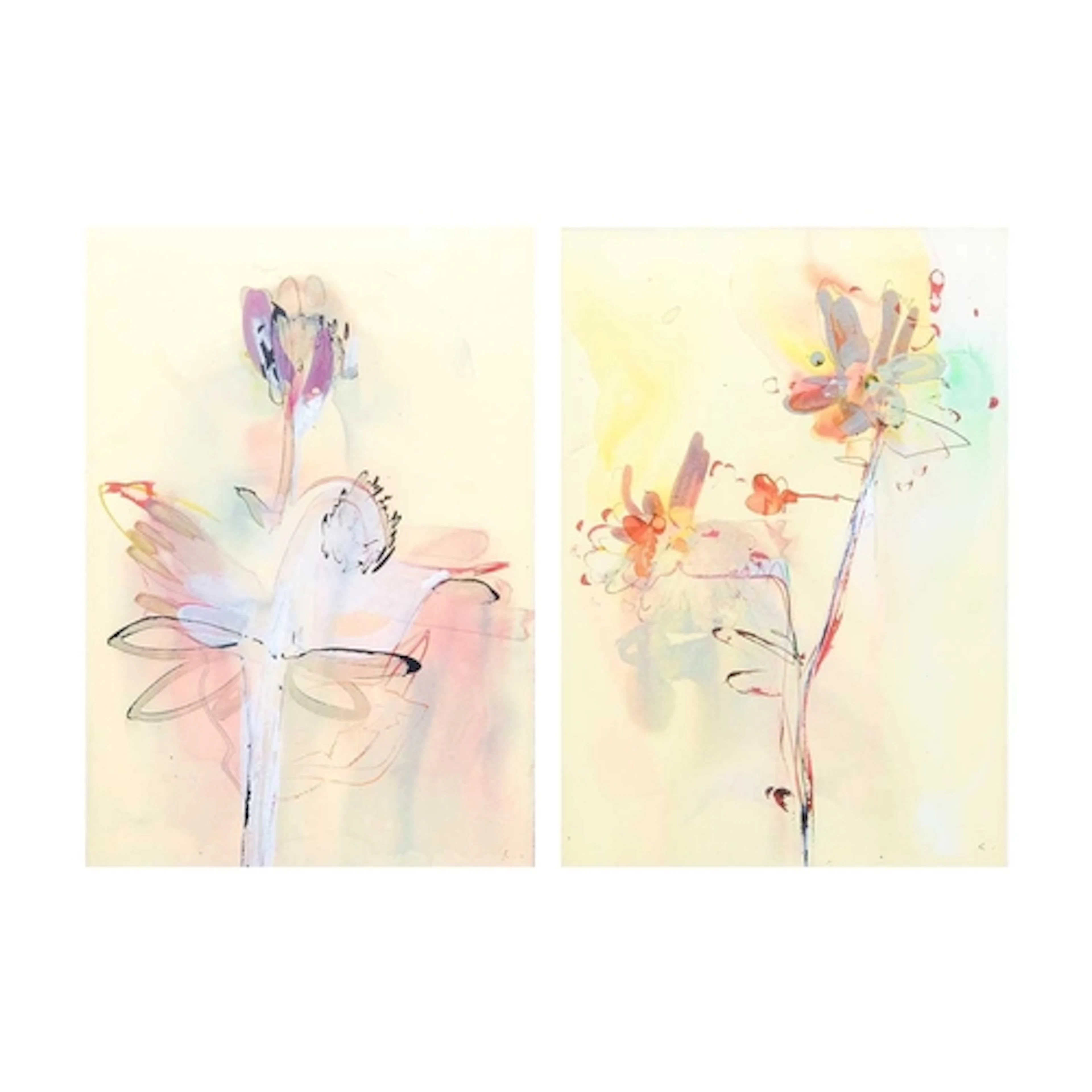 § Rob UNETT, Newlyn School of Art (1977) Flower Studies Mixe...