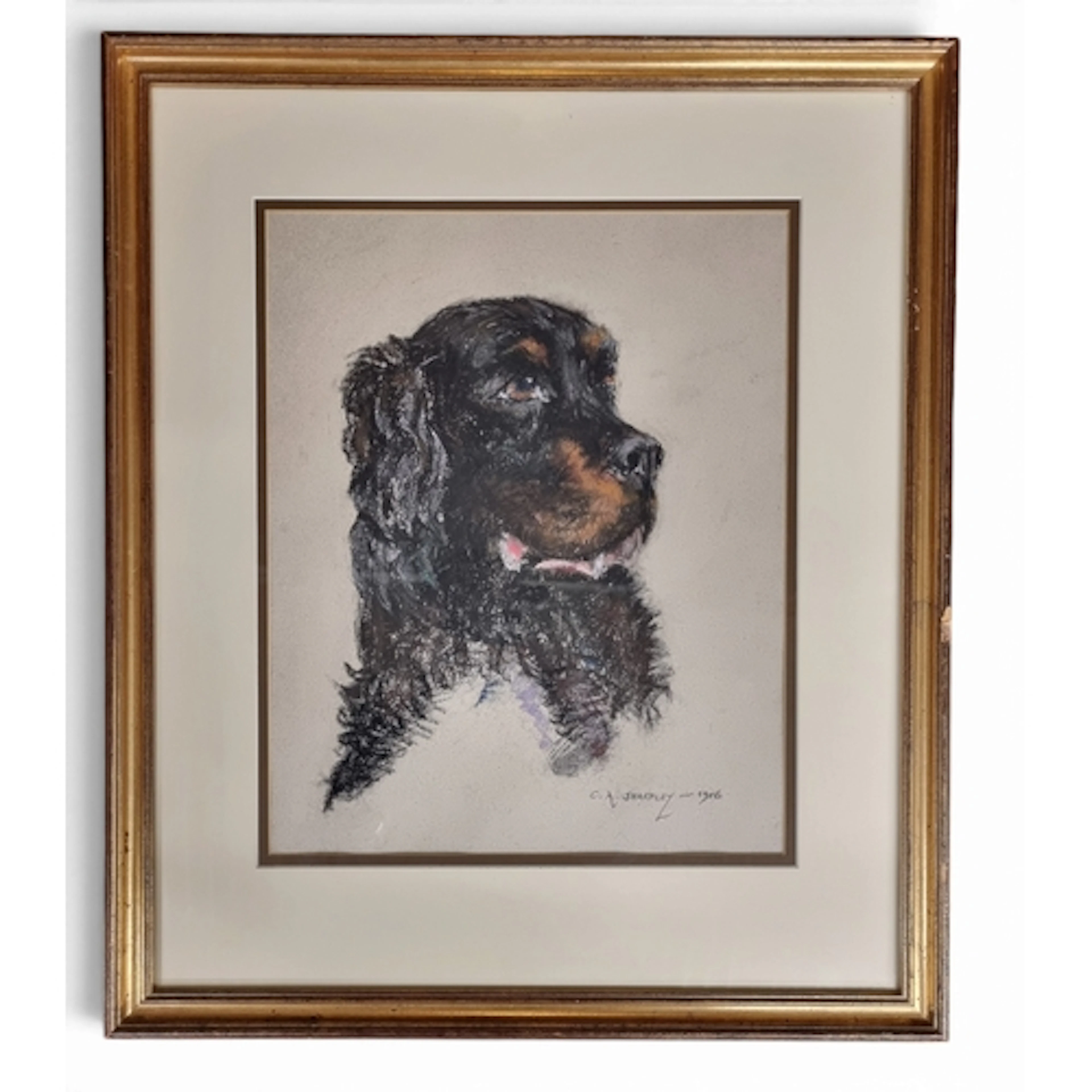 C A Shapley. A 20th Century Crayon Drawing of a Newfoundland...