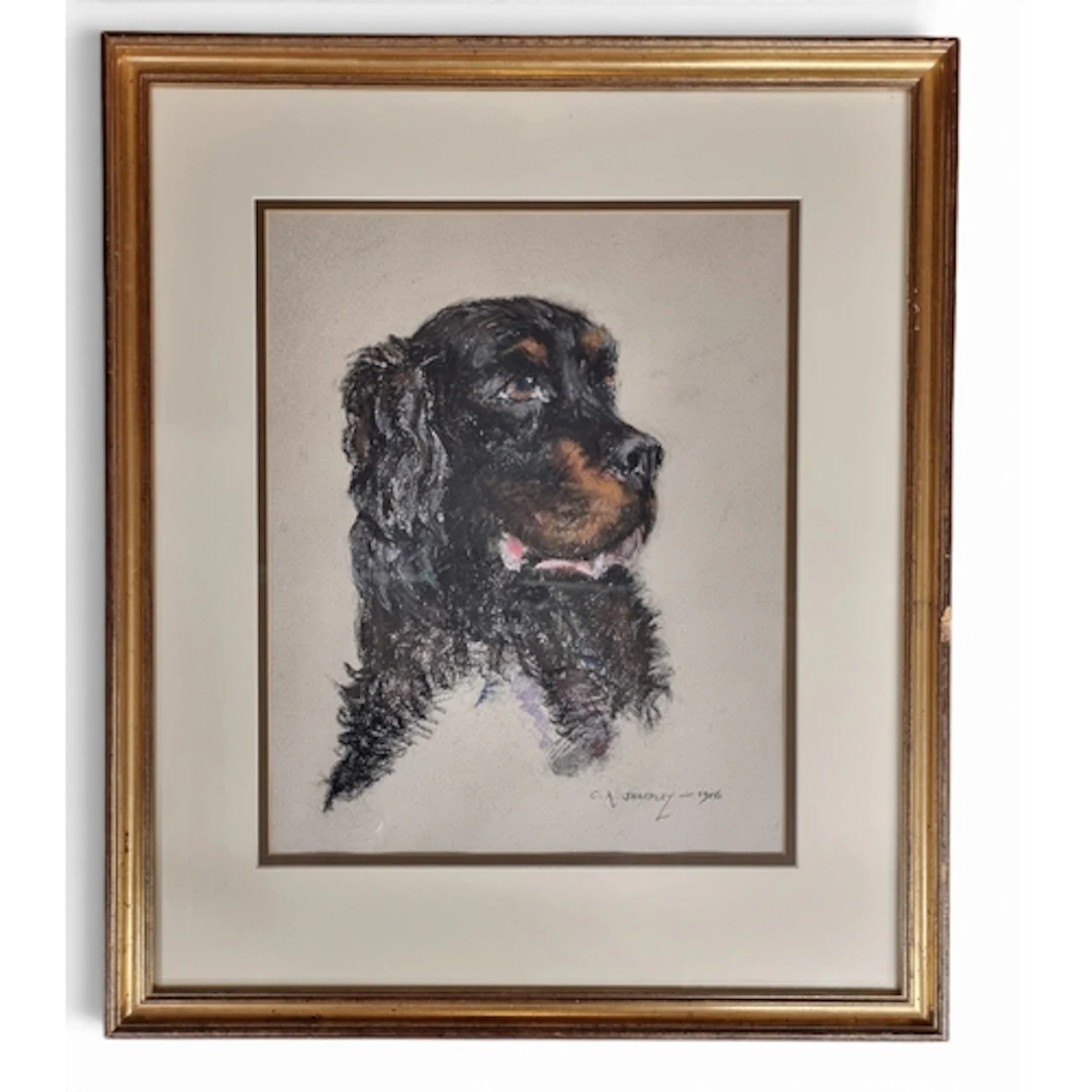C A Shapley. A 20th Century Crayon Drawing of a Newfoundland...