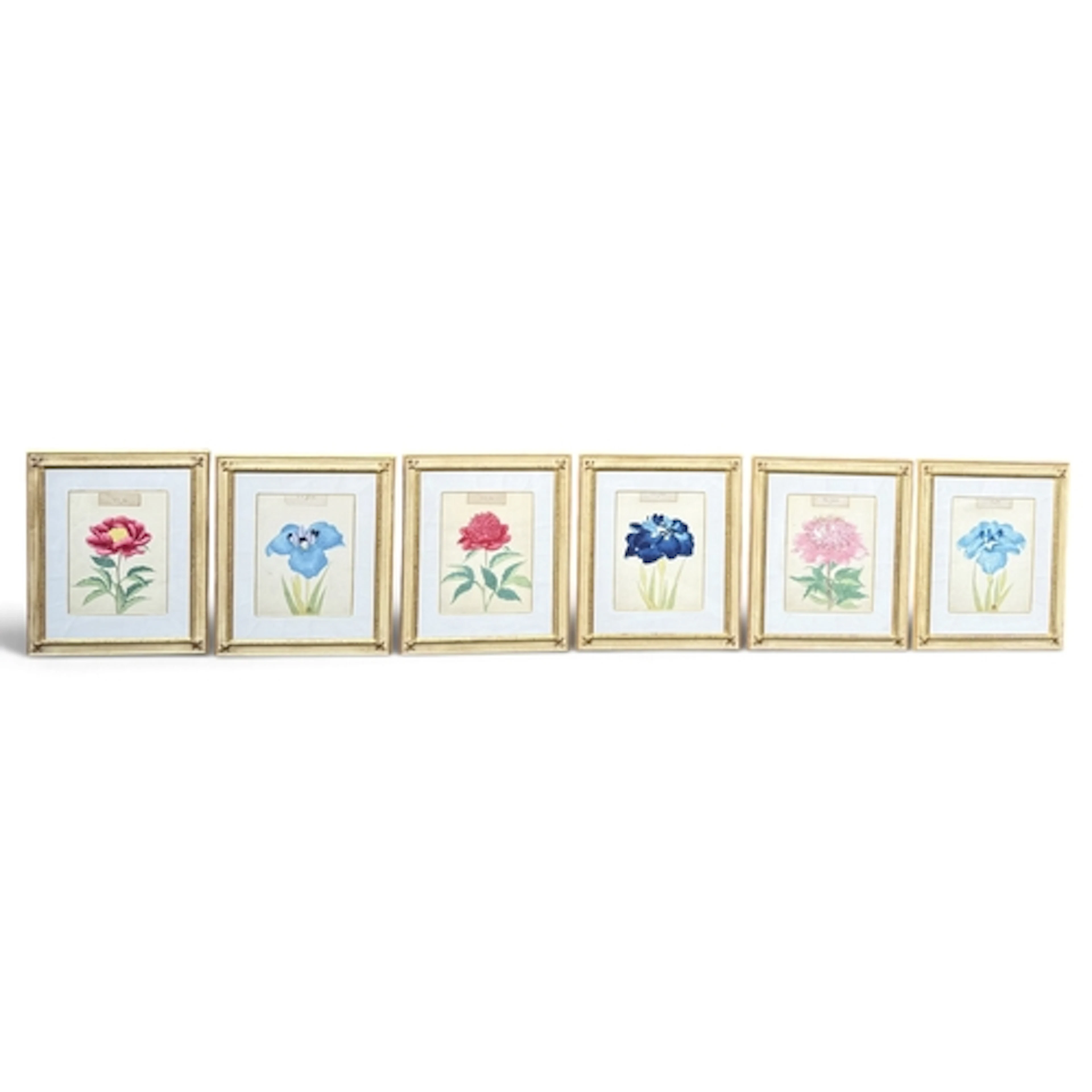 A SET OF SIX 19TH CENTURY BOTANICAL STUDIES Hand coloured en...