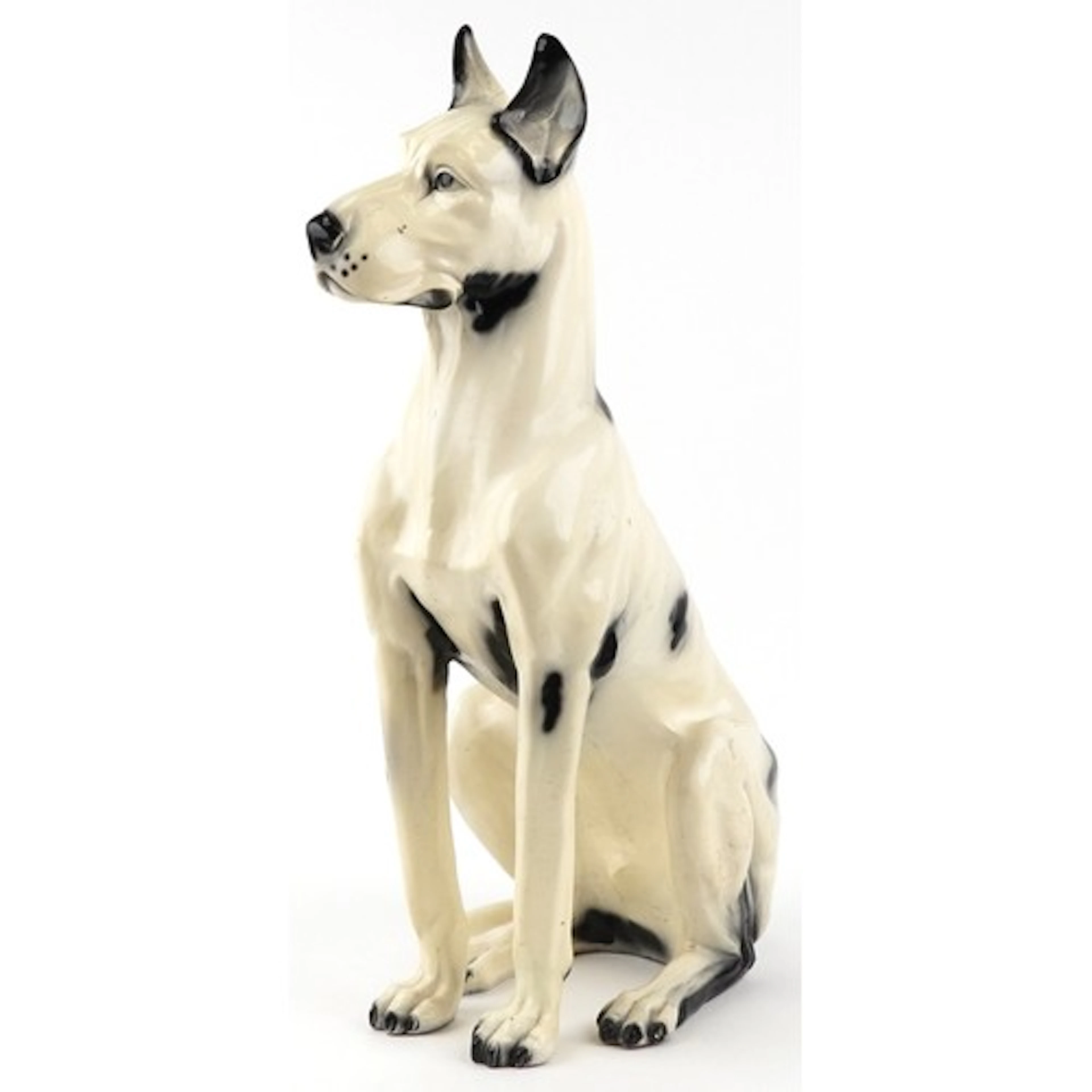 Large composite model of a seated Great Dane, 82cm high