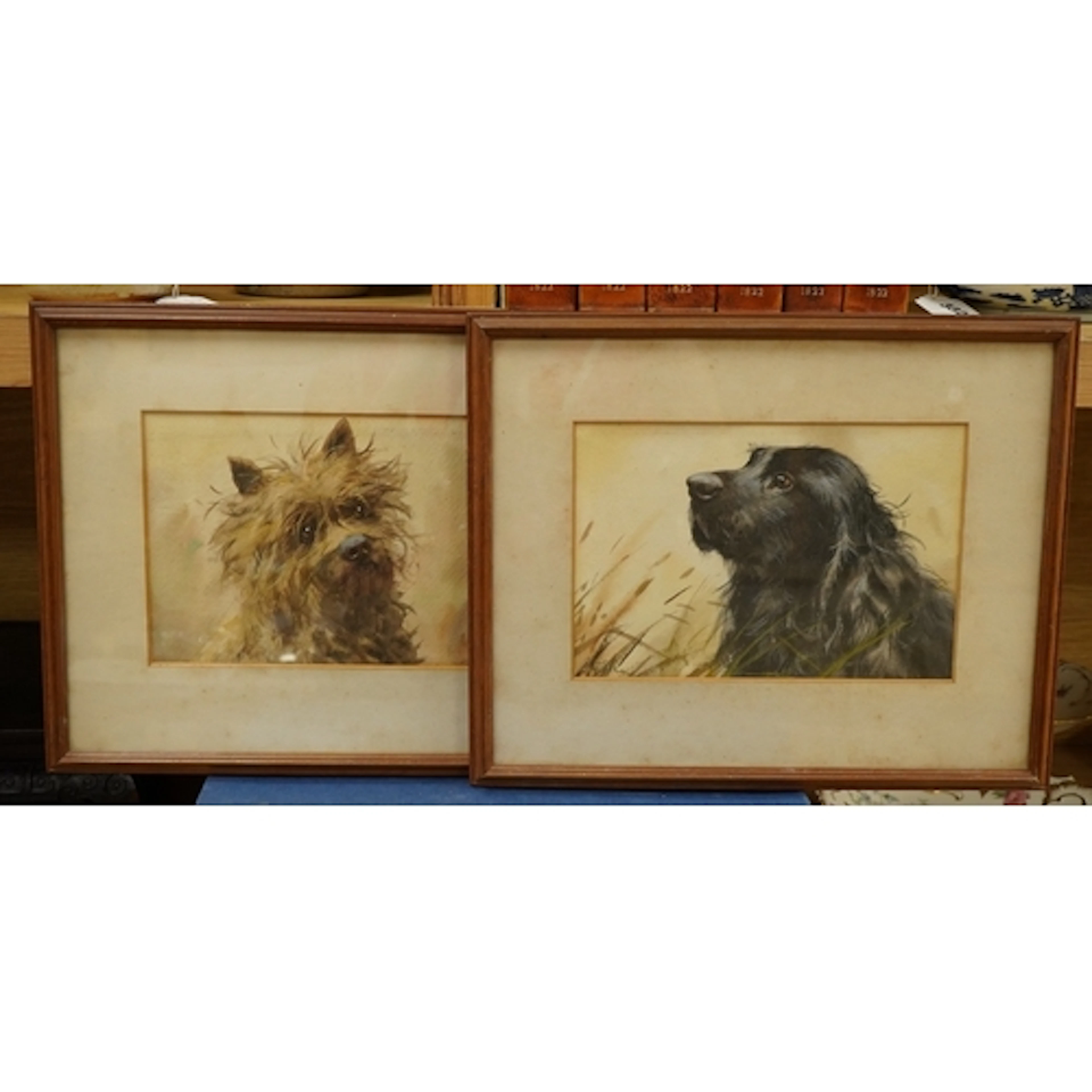 L.W. Fraser (20th. C), studies of a Highland Terrier and a S...