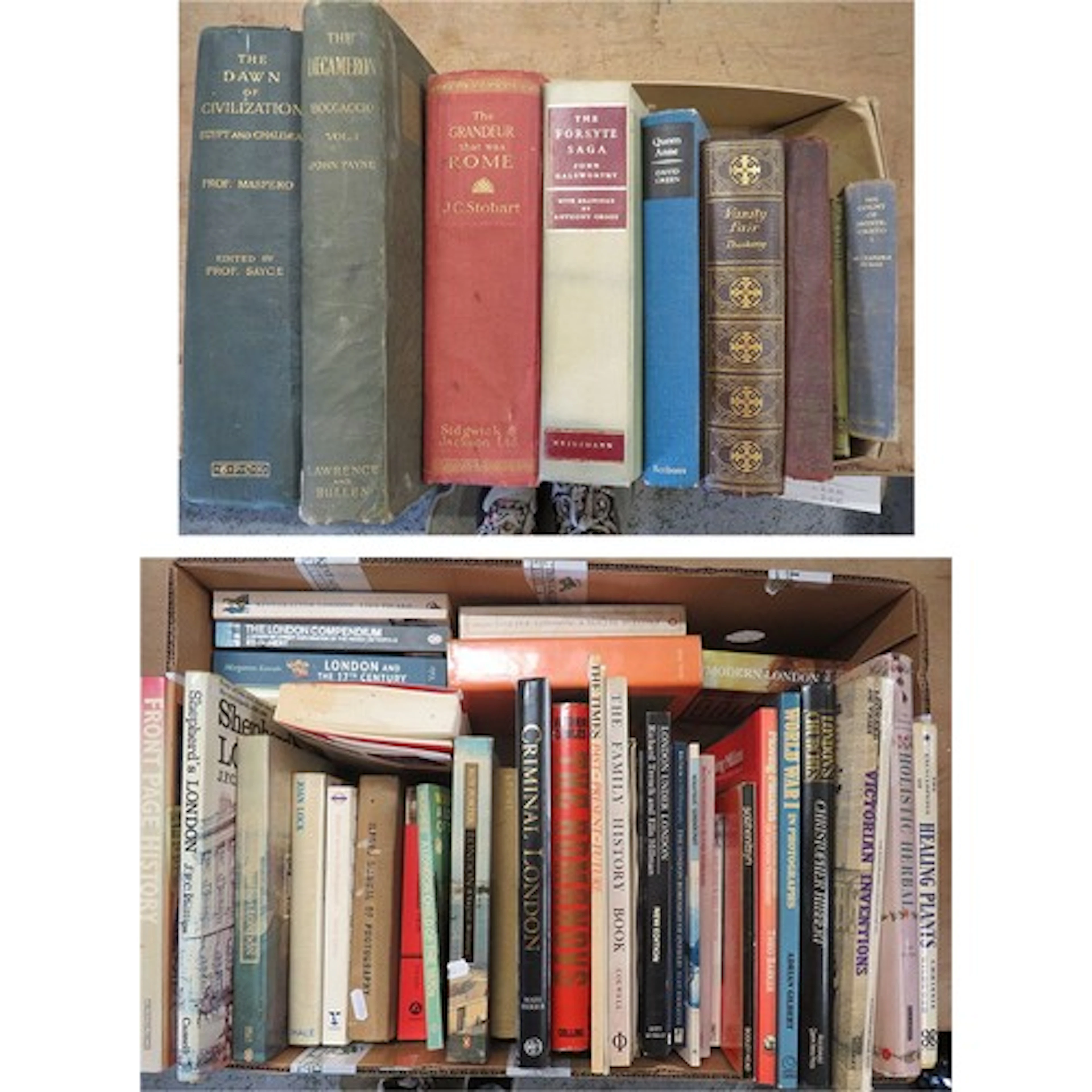 Books incl. The Dawn of Civilisation Egypt & Chaldaea publis...