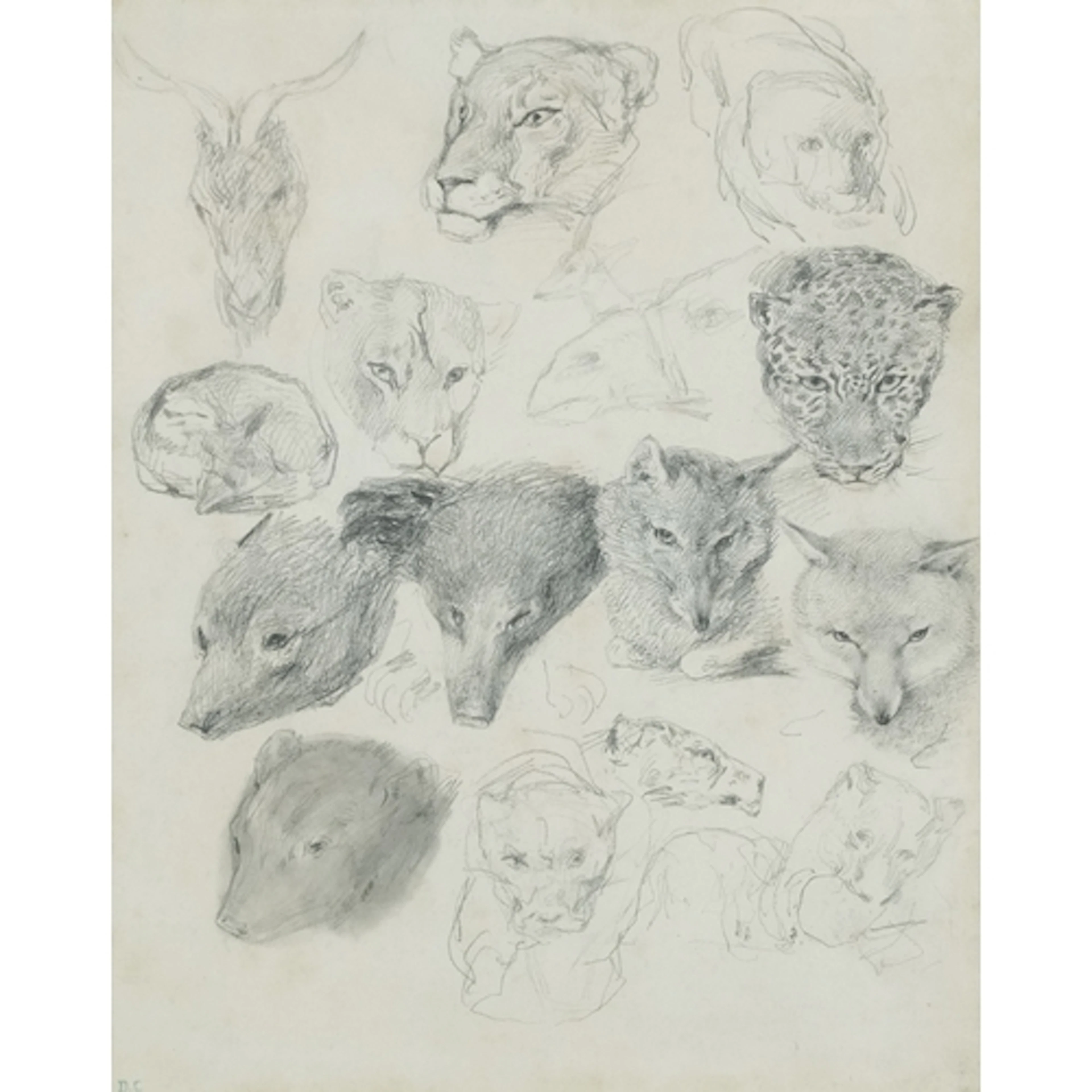 Alexandre-Gabriel Decamps - Heads of wild animals, 19th cent...