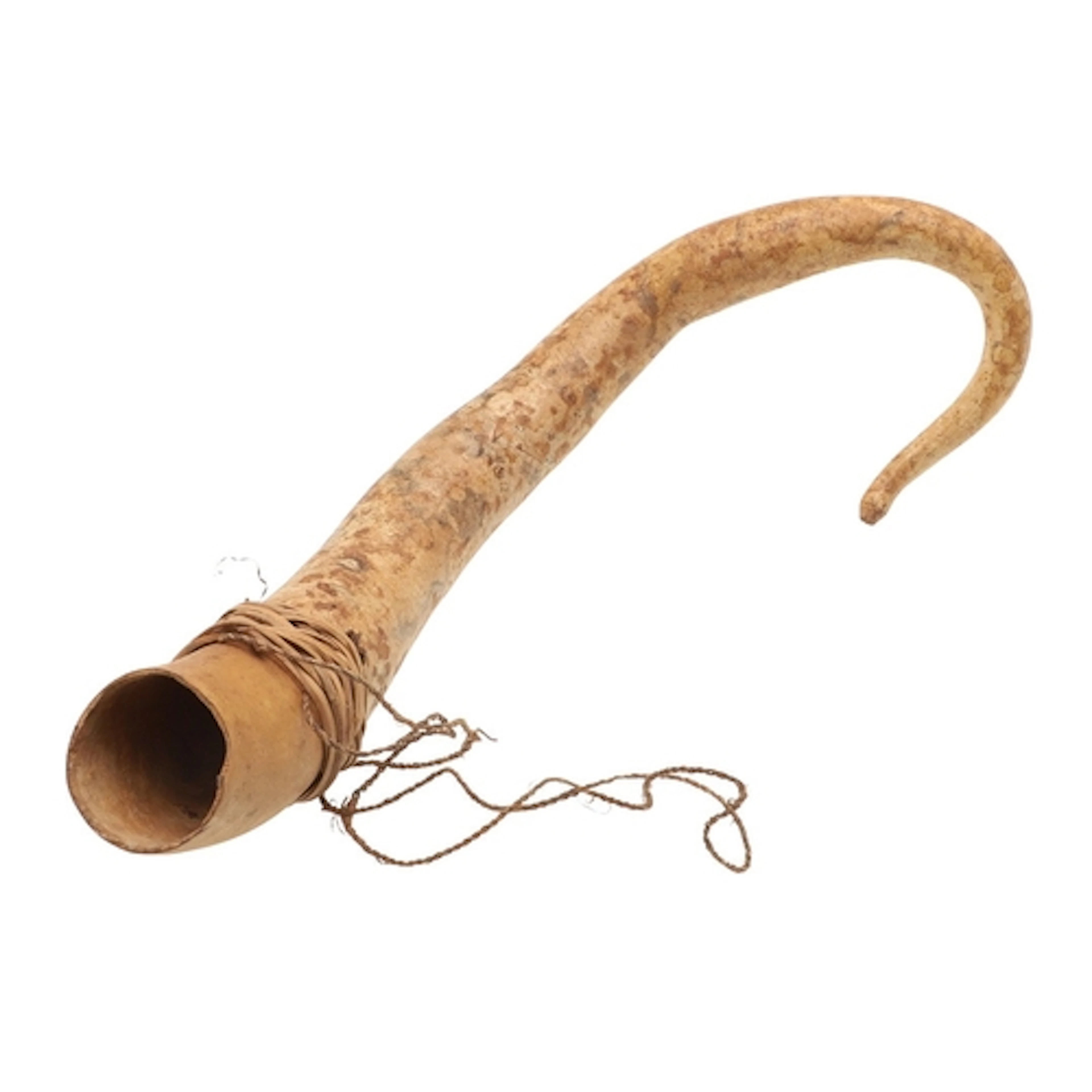 A PENIS SHEATH, PAPUA NEW GUINEA. A penis sheath, Koteka, wi...