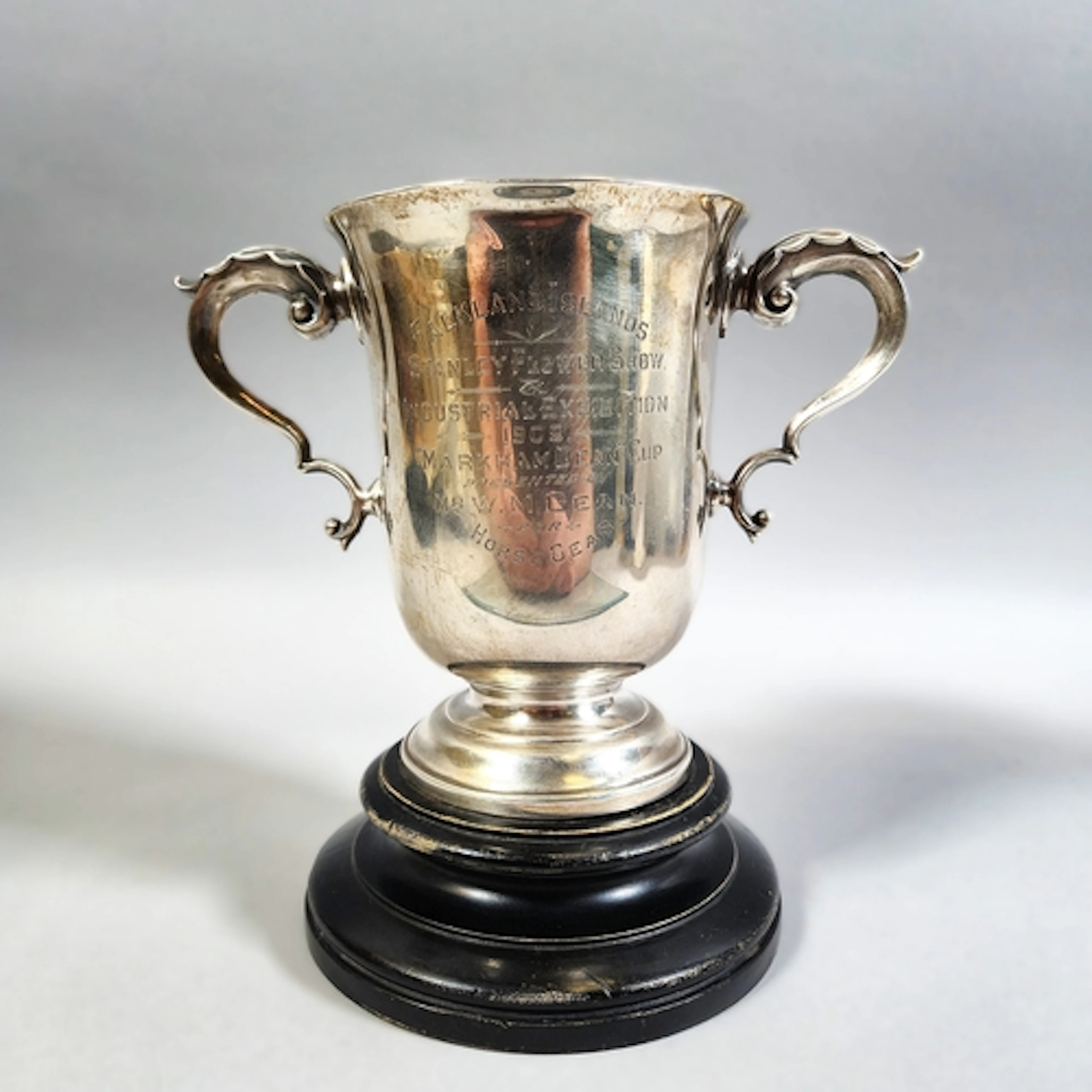 Edward VII silver twin handled prize cup with engraved prese...