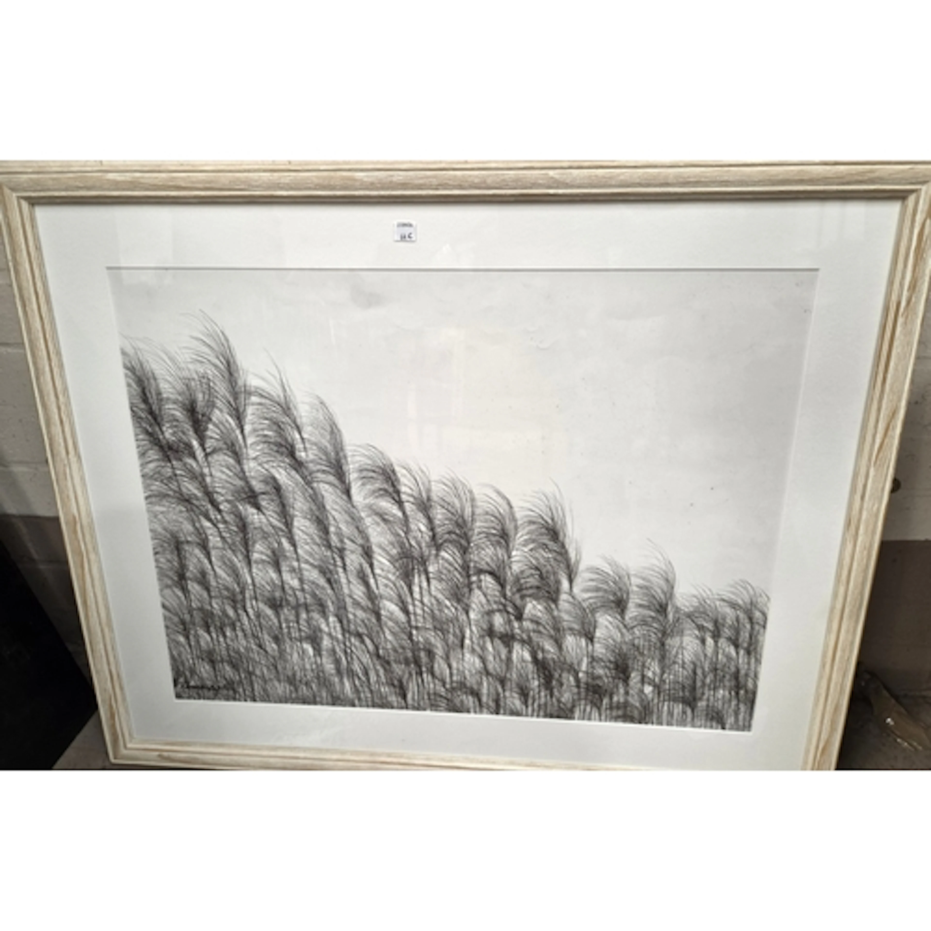 Rama Jana (M.A. Fine Arts), 'Squirrel Grass' Pen and Ink on ...