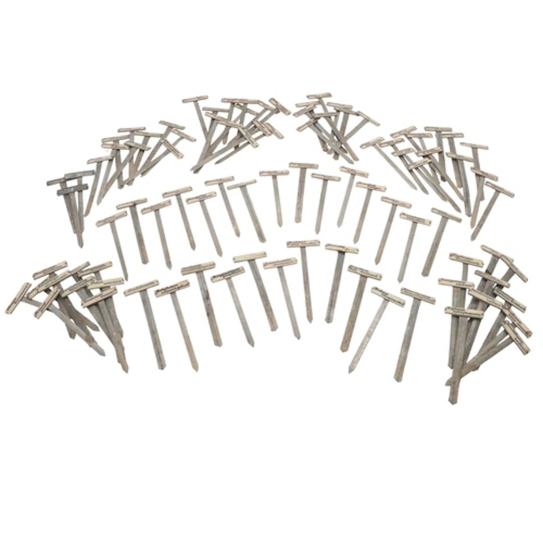 A LARGE COLLECTION OF 1920S GALVANISED METAL BOTANICAL PLANT...