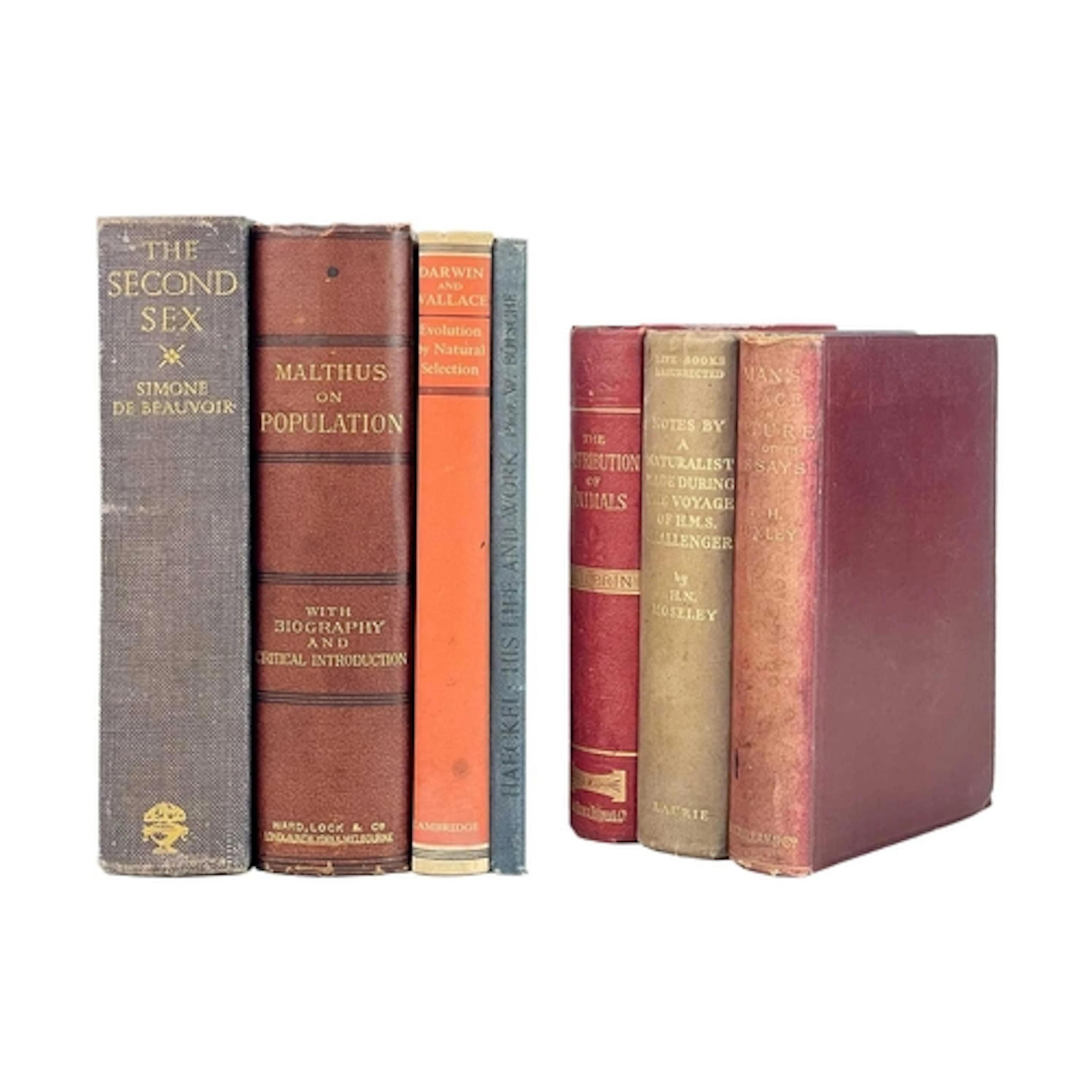 (Evolution and biology) Seven works. To include Simone de Be...