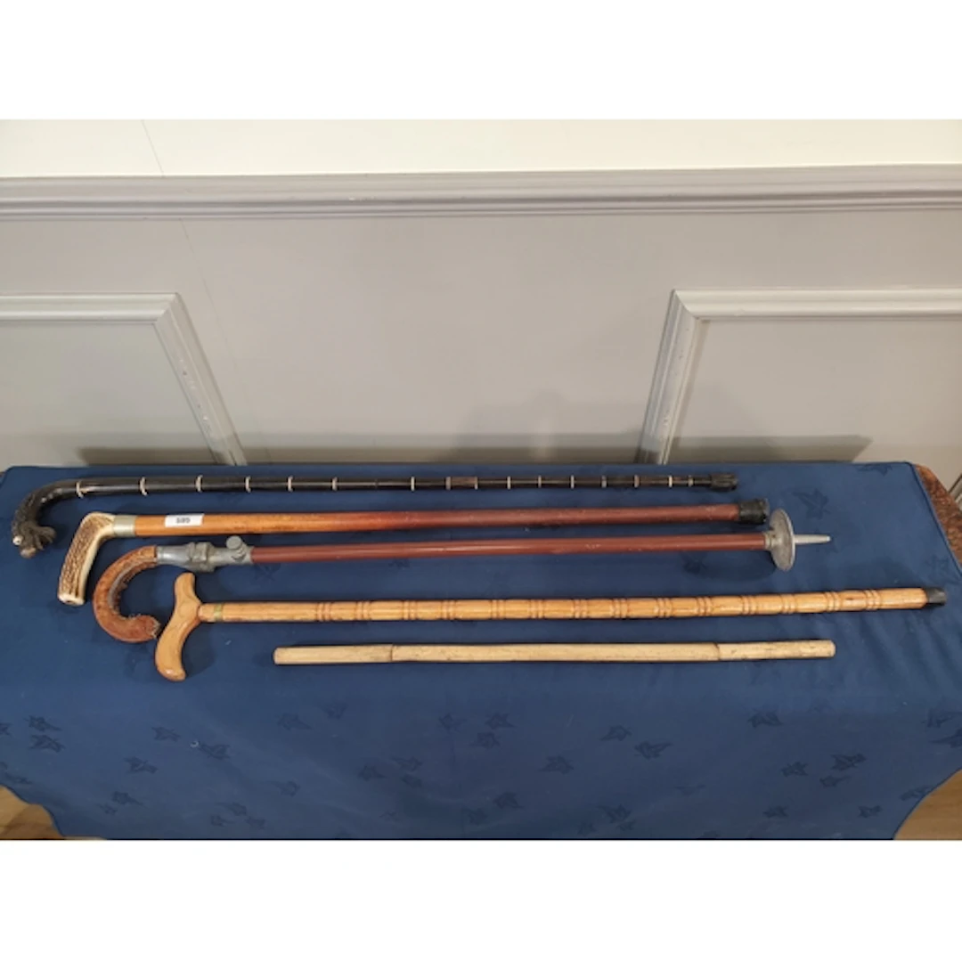 A collection of assorted walking Canes, (R2).