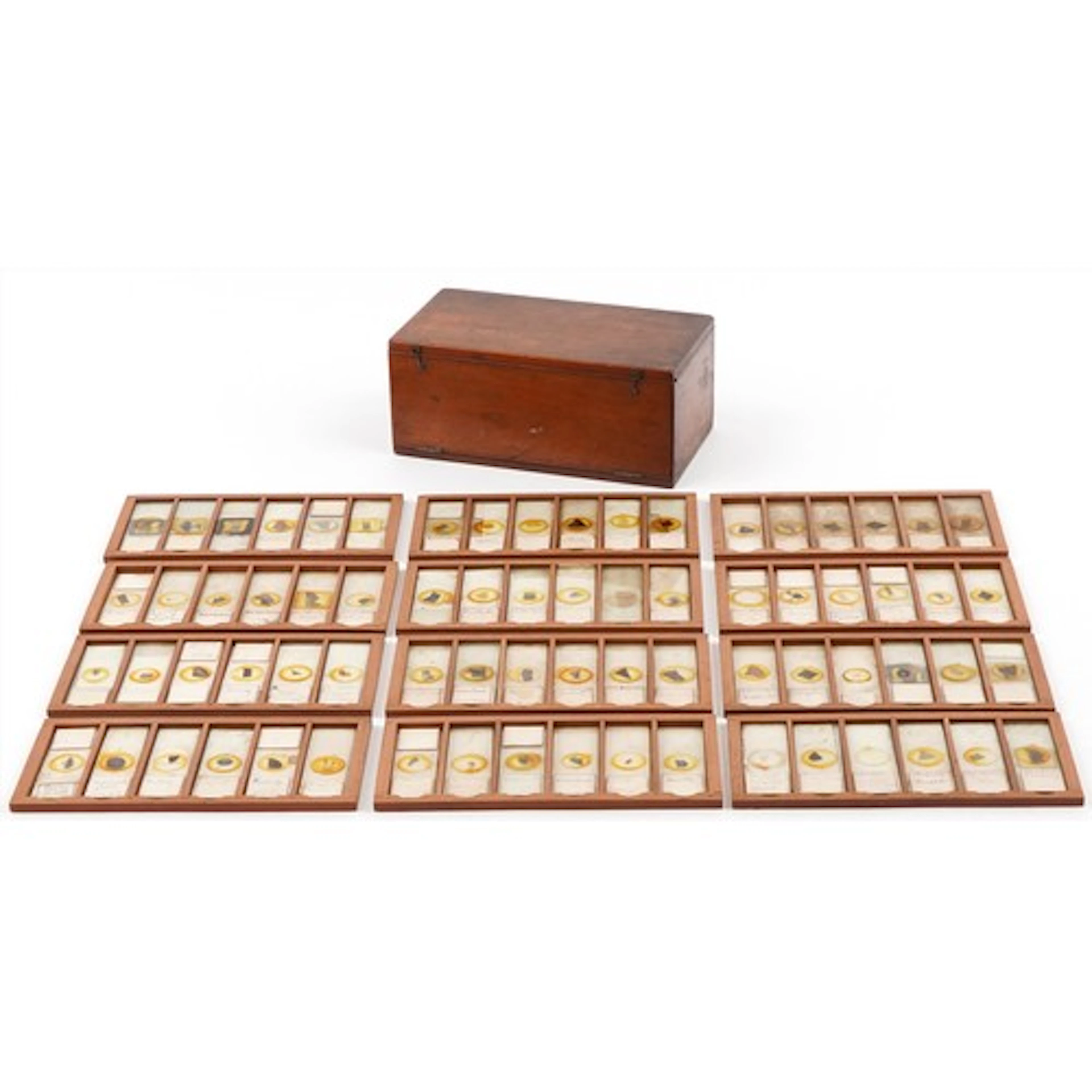 Victorian set of microscope glass slides, dated 1886-1887, h...