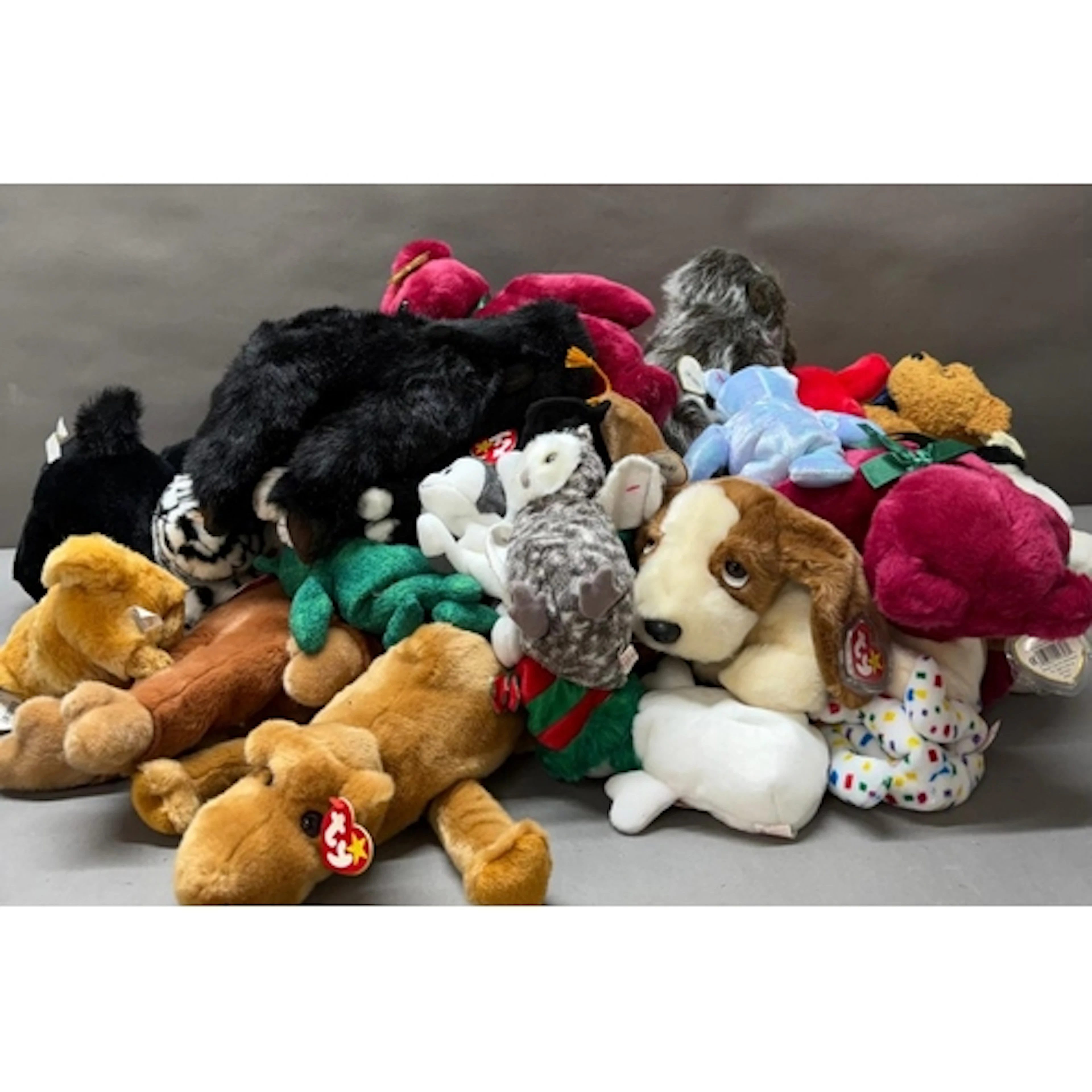 A large quantity of TY Beanie Babies.
