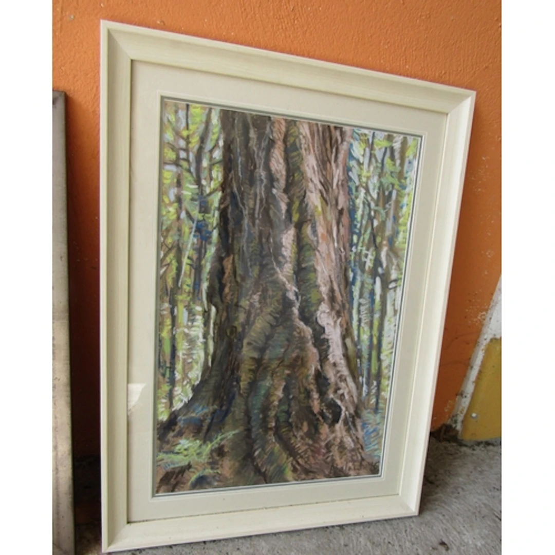 Atlanta Pollack Douglas Fir Powerscourt Pastel Glazed and Fr...