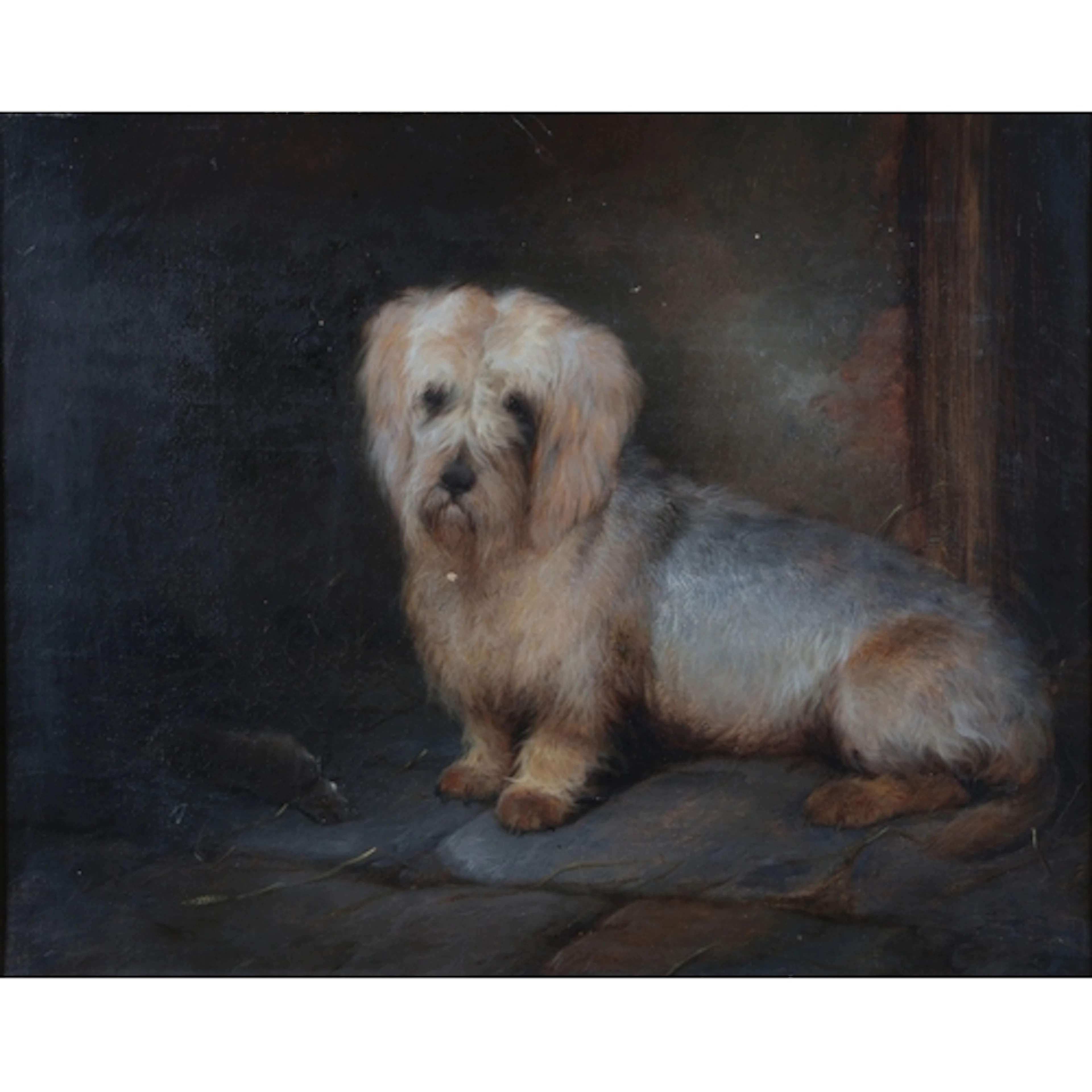 George Wright (1860-1942) Study of a Dandie Dinmont with de...